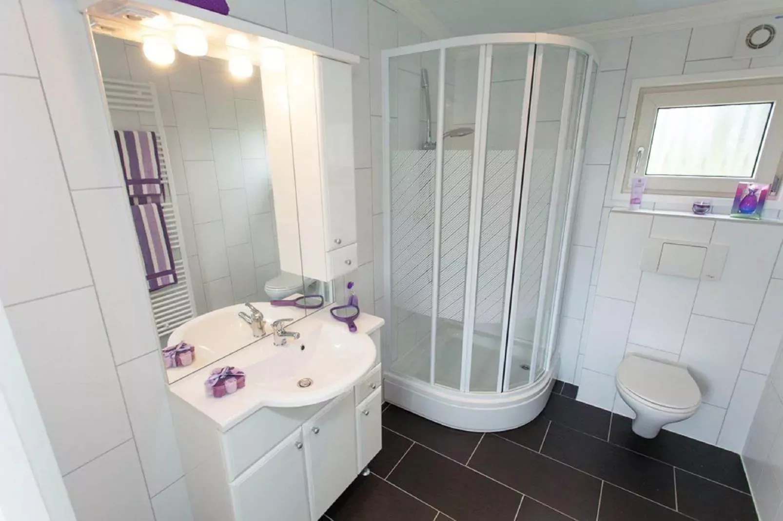Resort De Achterhoek 23-Bathroom
