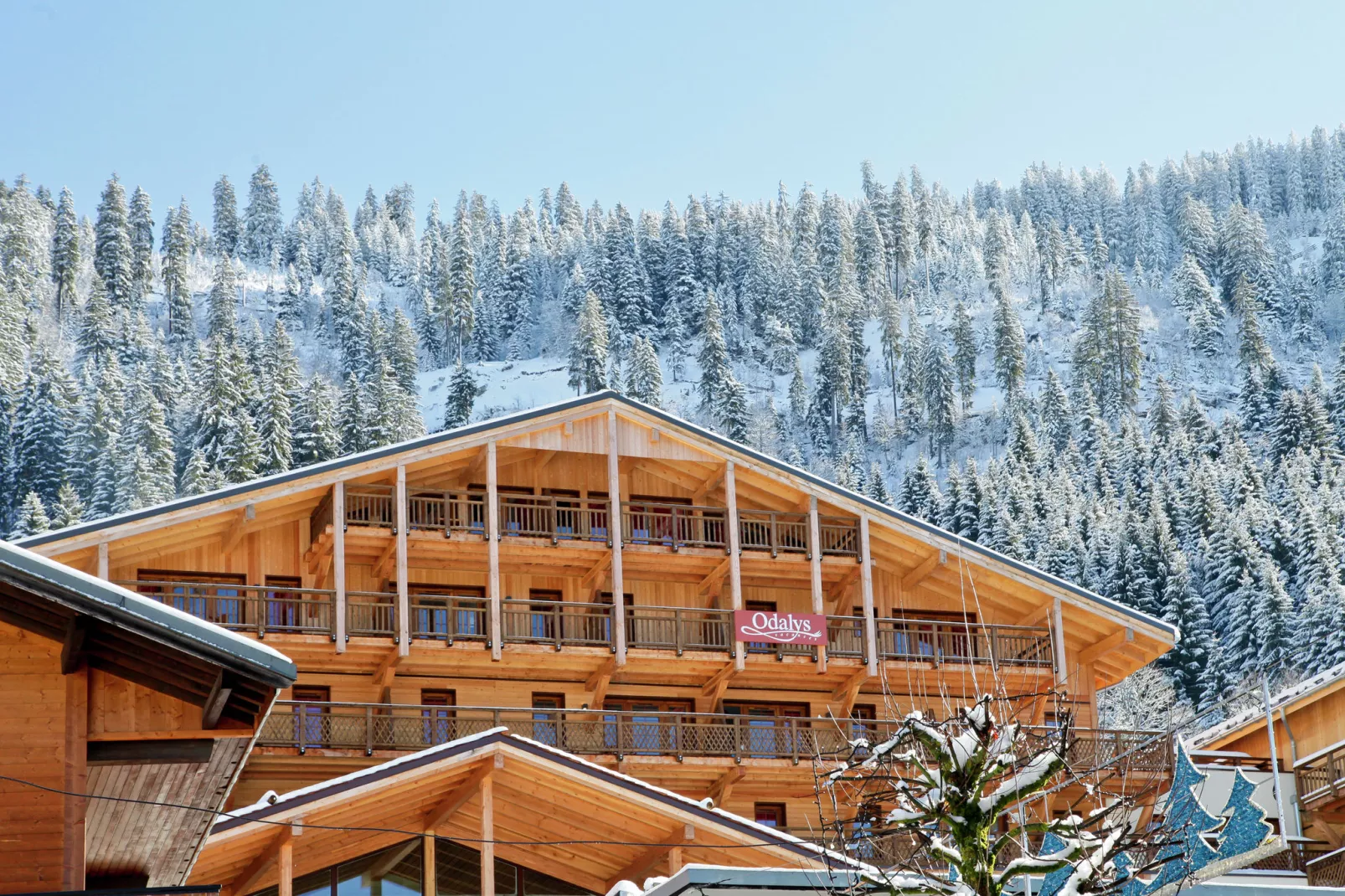 Les Fermes de Chatel 1-Exterior winter
