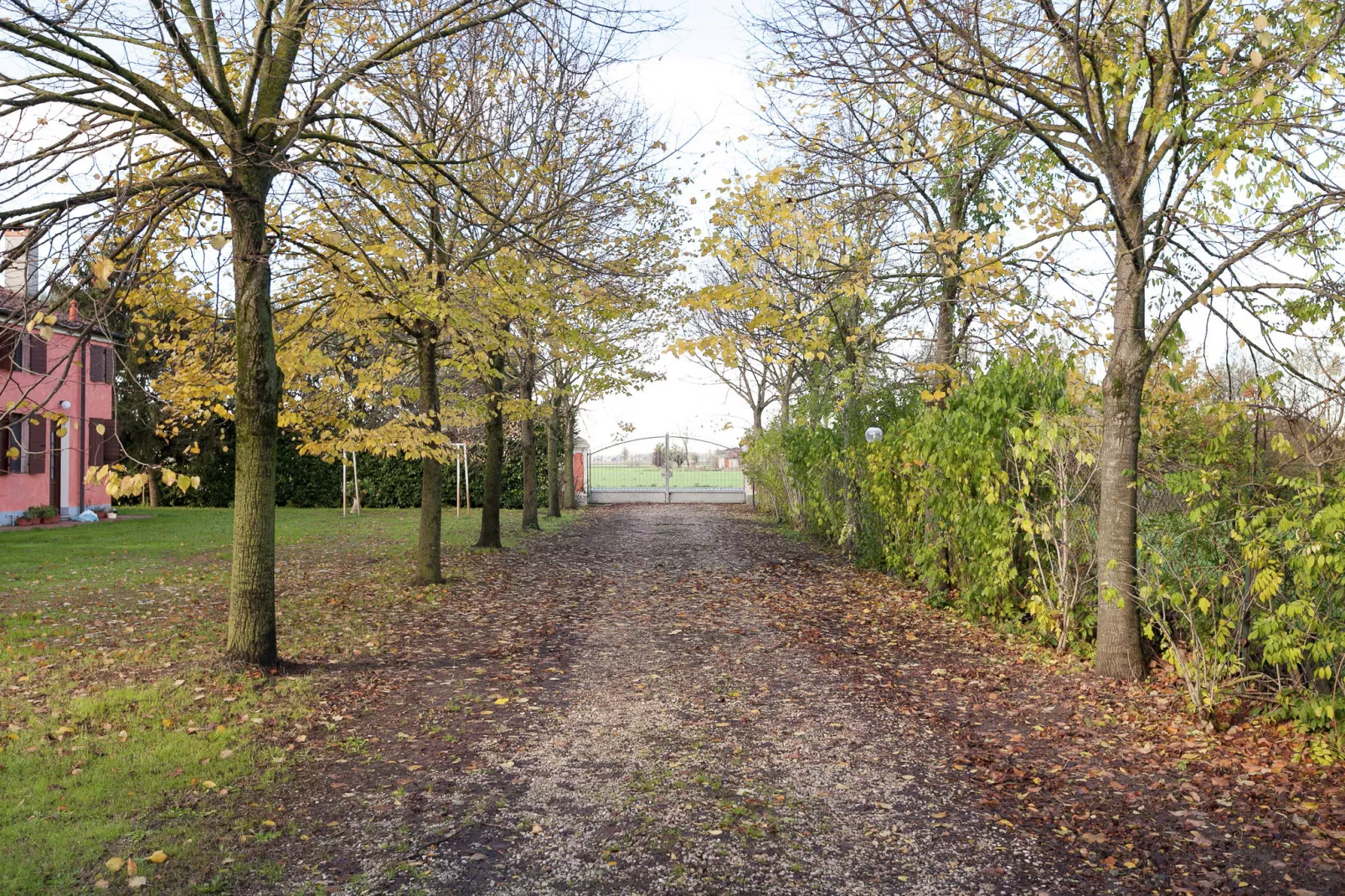 Villa Romana Due-Garden winter