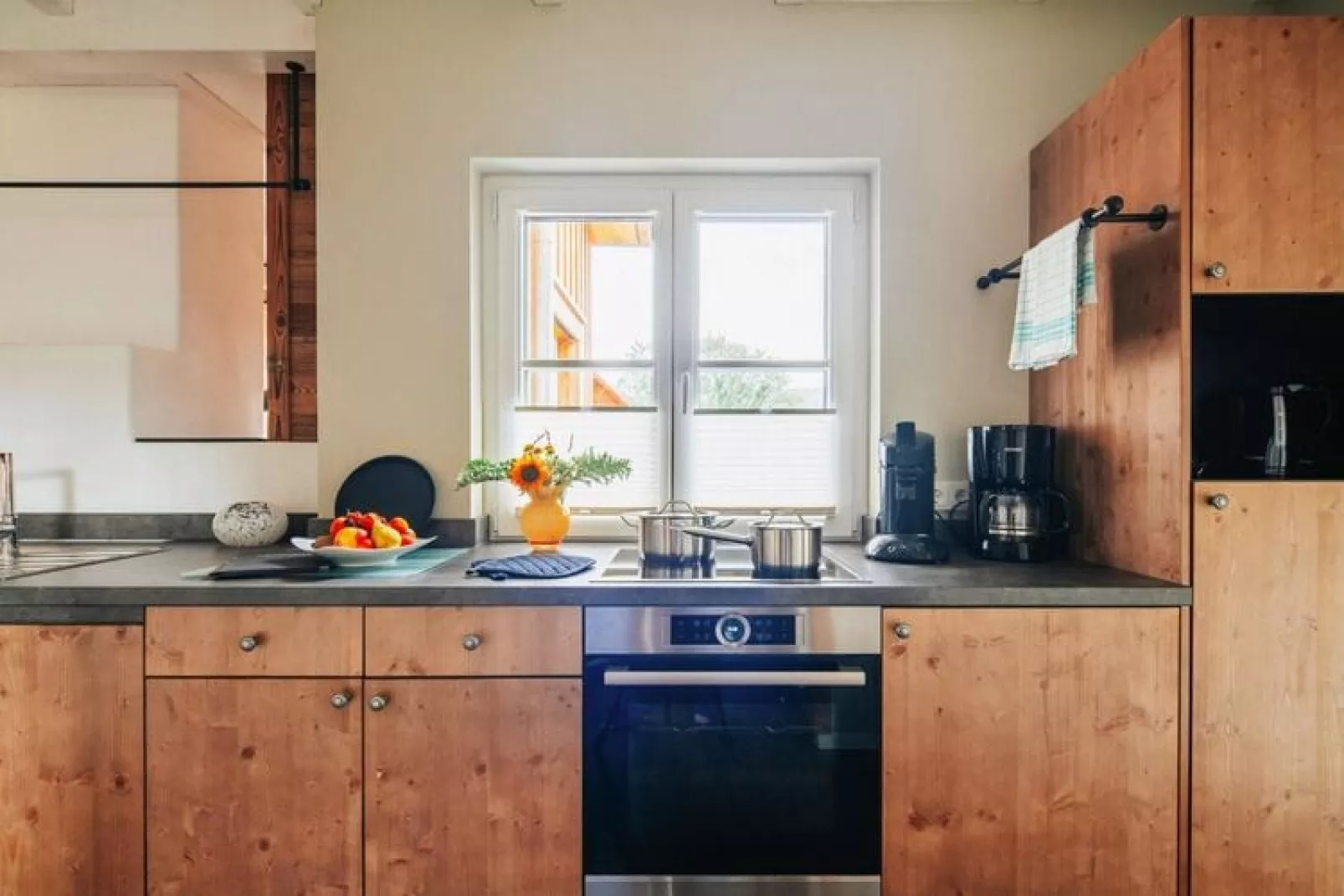 Ferienhaus Typ Premium Lodge Plus 4 Personen-Kitchen