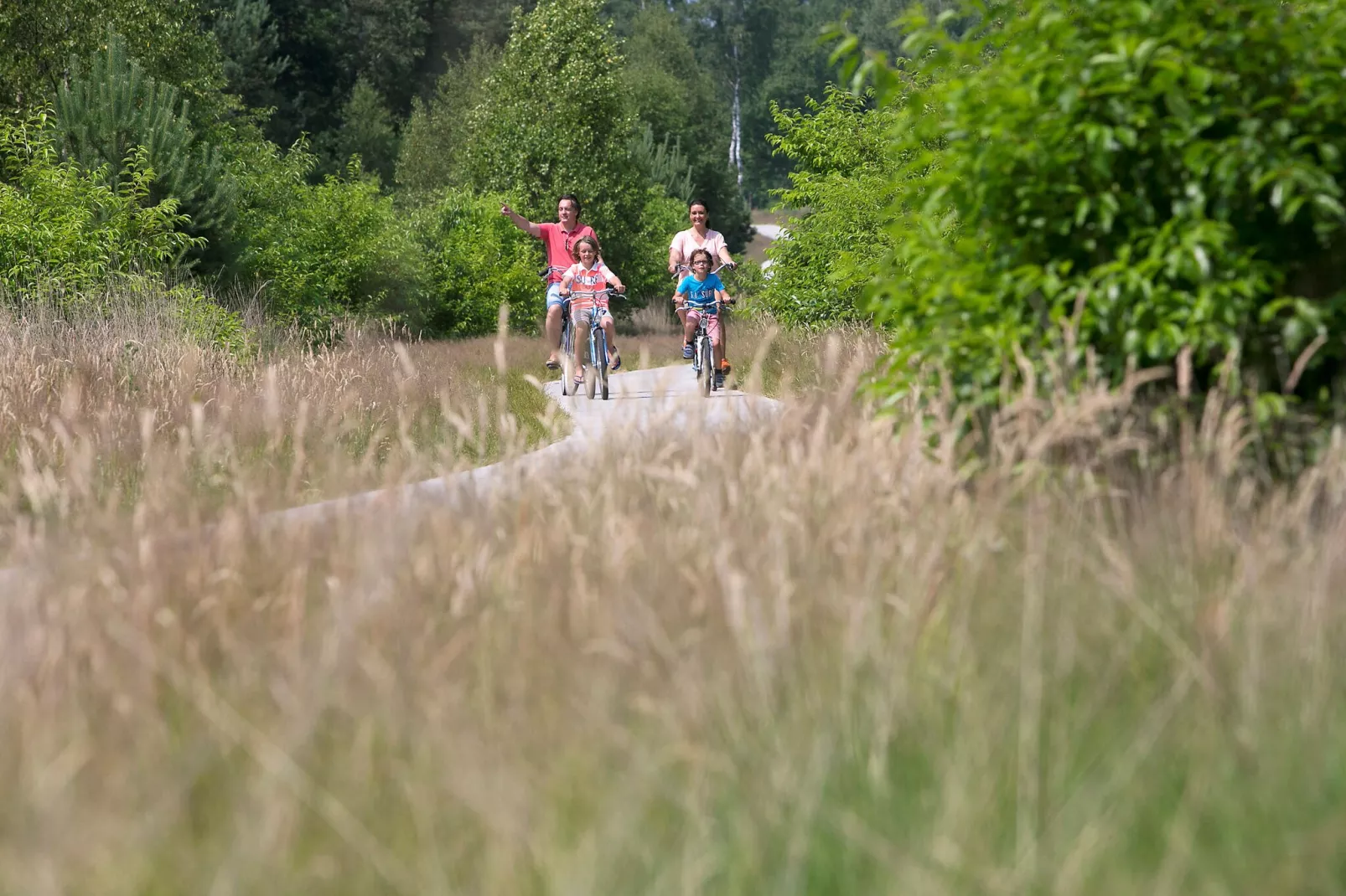 Resort De Achterhoek 1-Gebiete Sommer 1 km