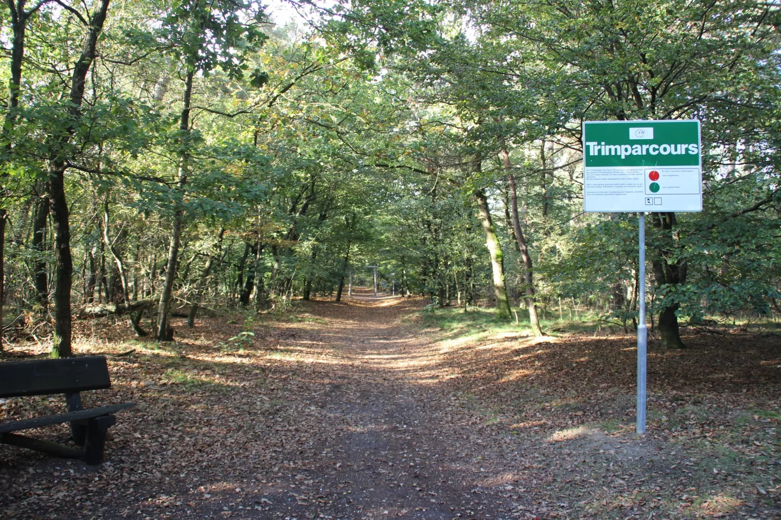Wijsthoeve-Areas summer 1km