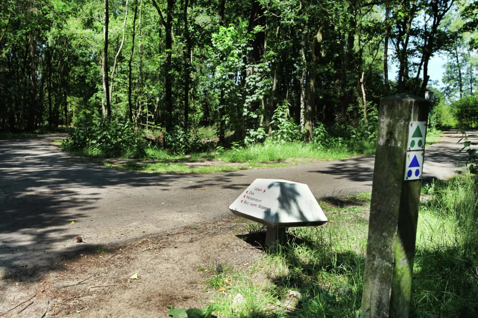 Wijsthoeve-Areas summer 1km