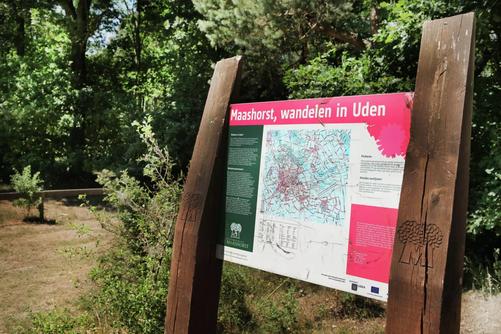 Wijsthoeve-Areas summer 1km