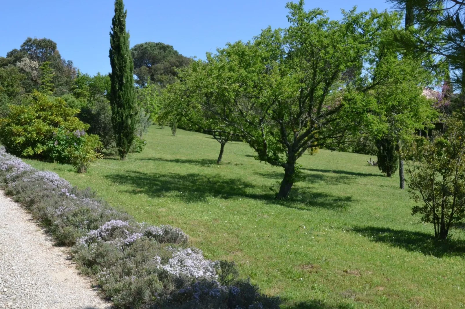La Pampa-Gardens summer