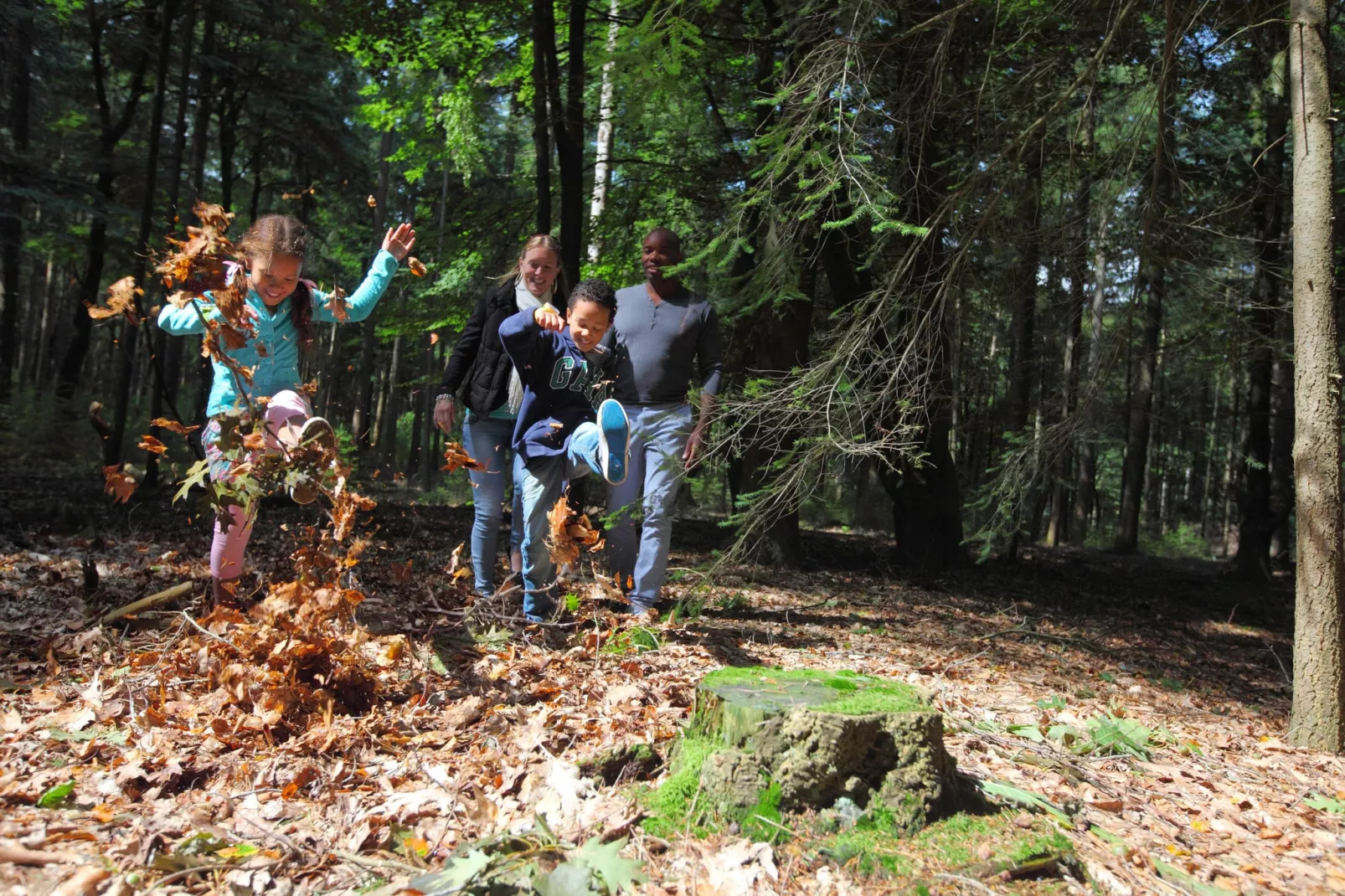 Resort De Achterhoek 10-Areas summer 1km