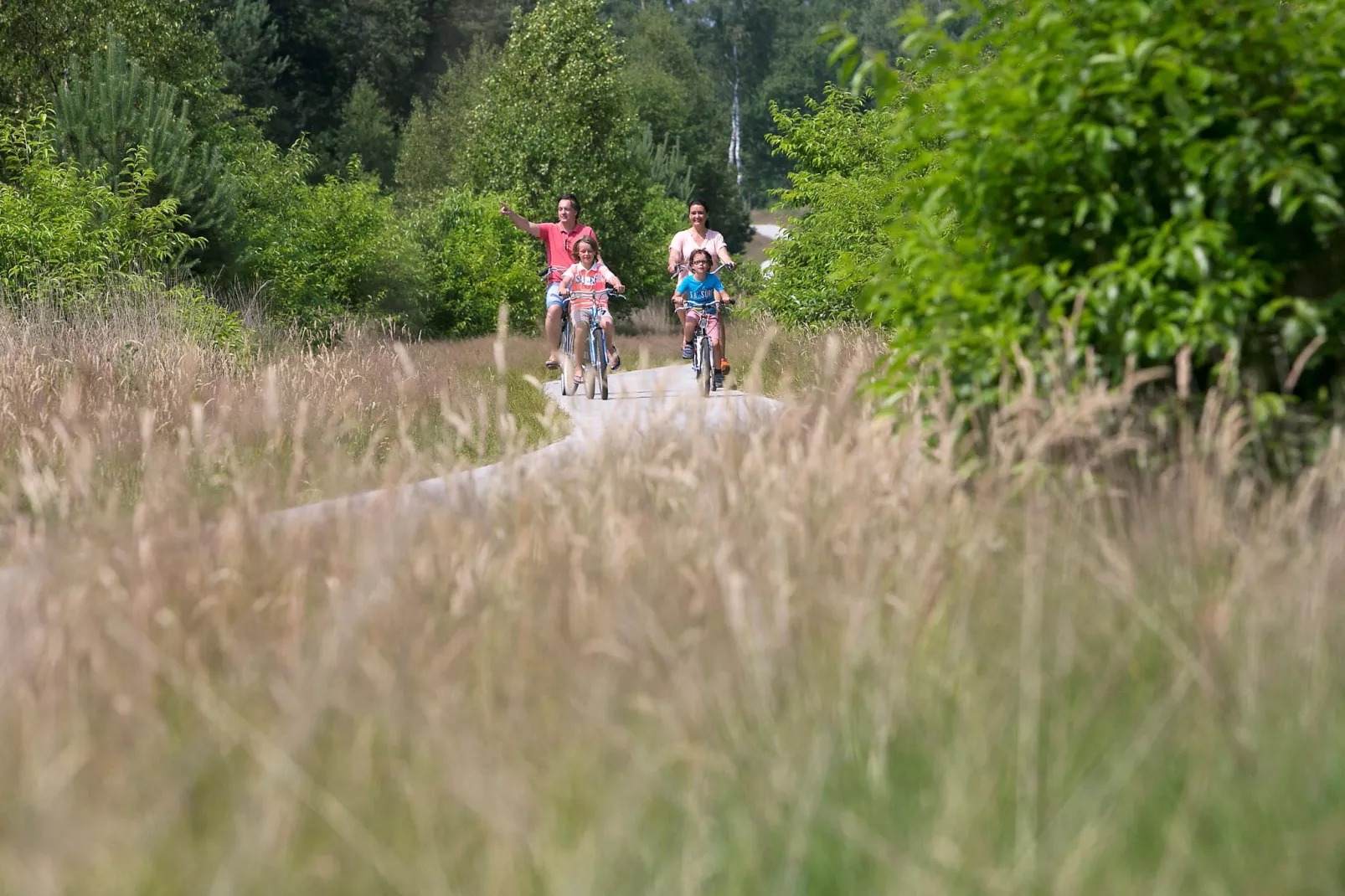 Resort De Achterhoek 10-Areas summer 1km