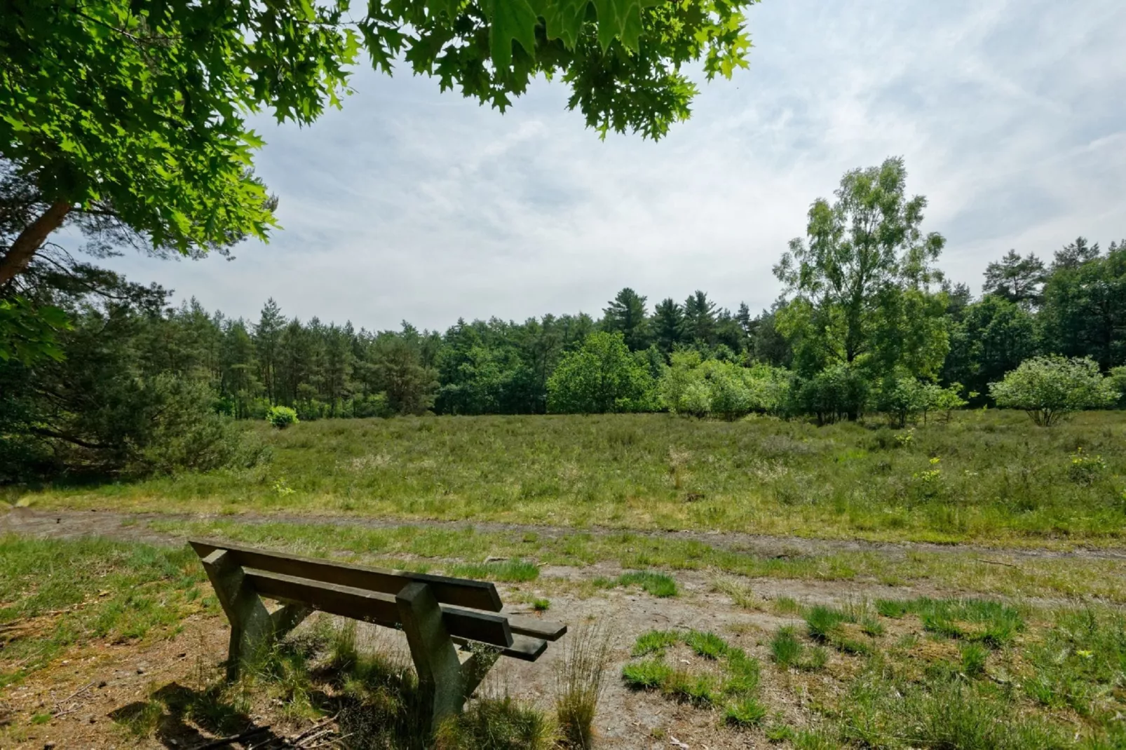 Resort De Achterhoek 10-Areas summer 5km