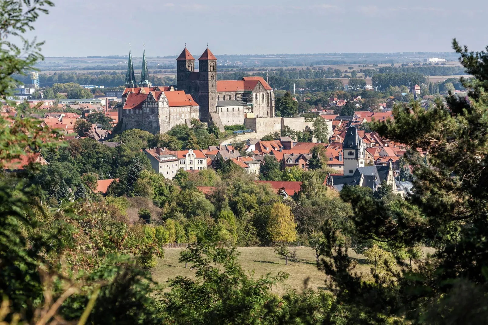 Bodeblick-Areas summer 20km