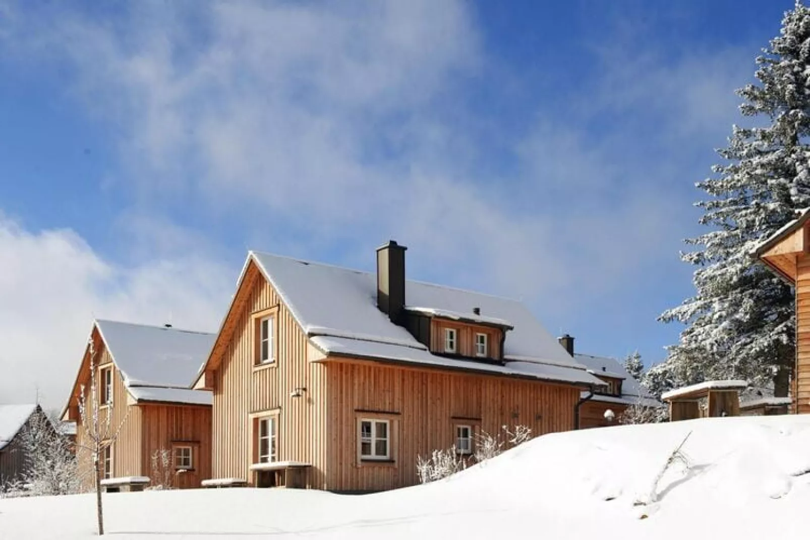 Premium Lodge Plus 4 Erw 2 Kinder-Exterior winter
