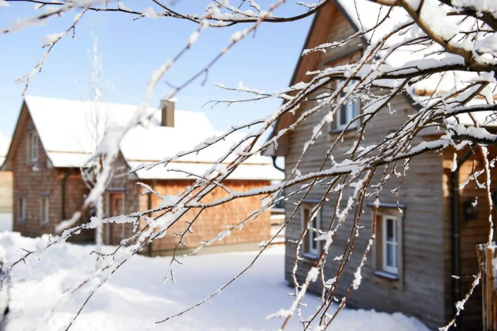 Premium Lodge Plus 4 Erw 2 Kinder-Exterior winter