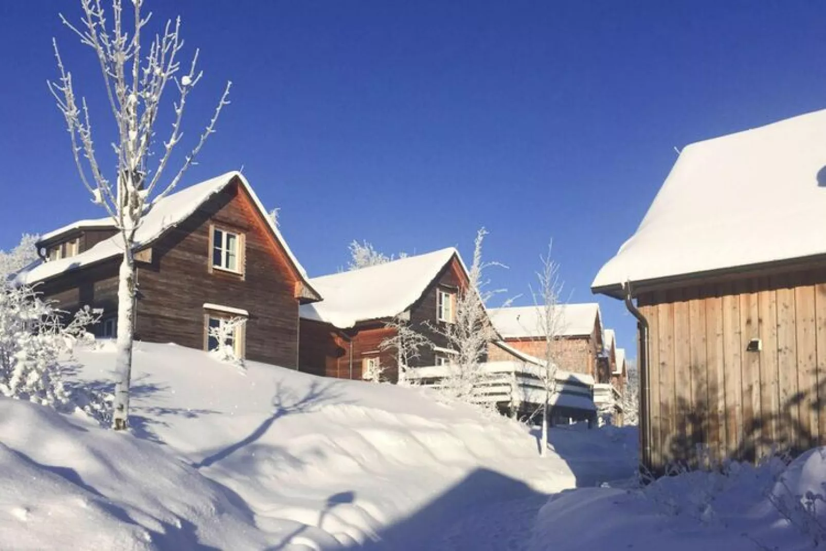 Premium Lodge Plus 4 Erw 2 Kinder-Exterior winter