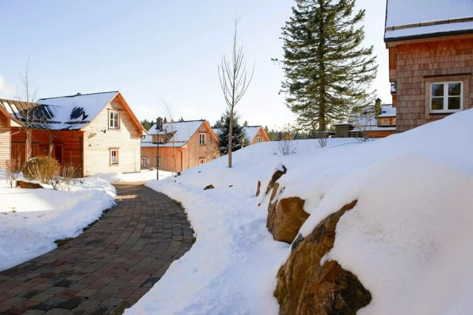 Premium Lodge Plus 4 Erw 2 Kinder-Exterior winter