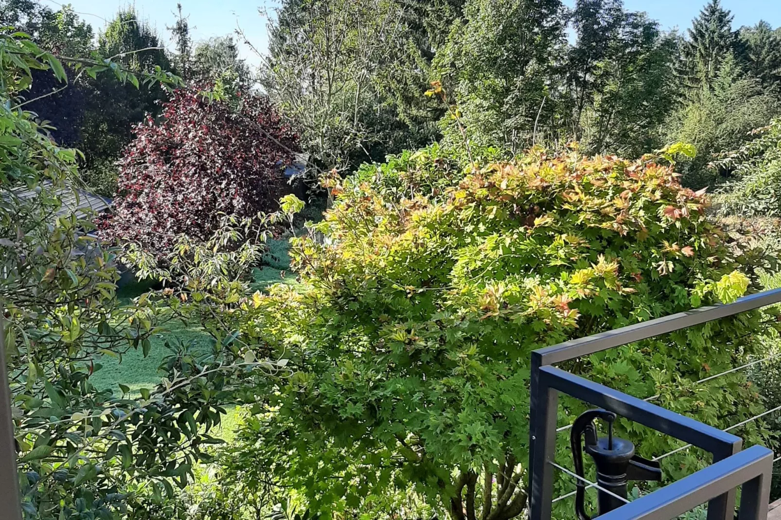 Remember-Gardens summer