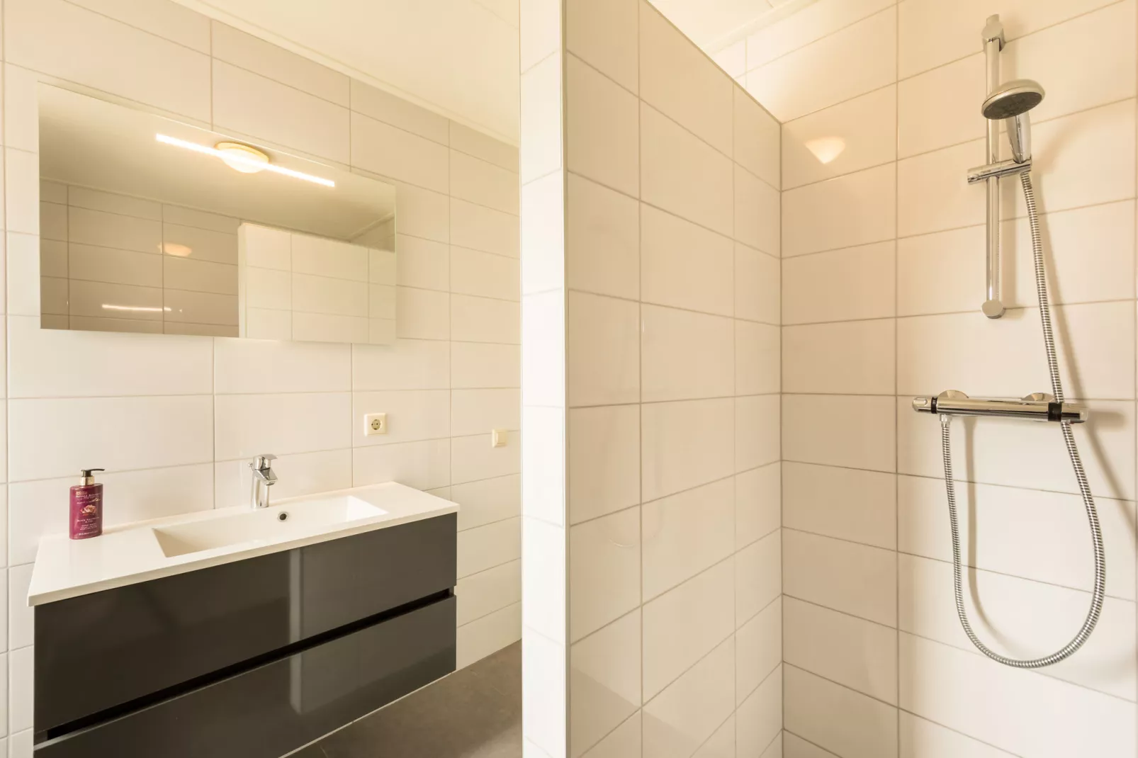 Vakantiepark De Heeren van 's Gravensande 2-Bathroom