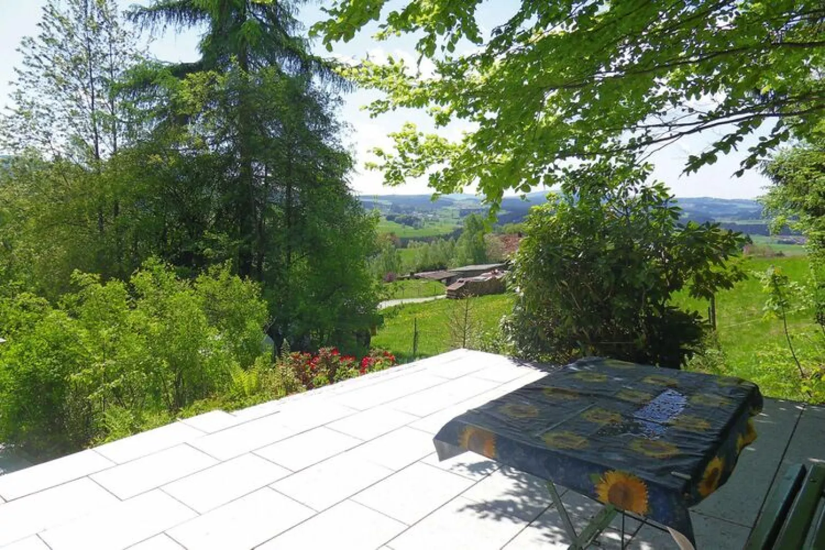 Ferienhaus Schneider Rinchnach 70 qm-Jardin d'été