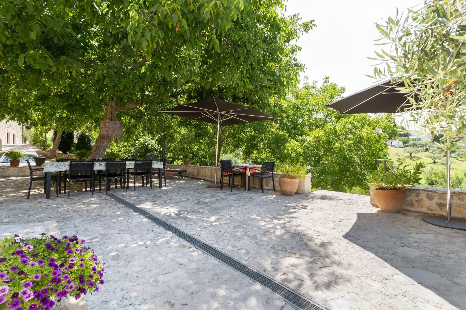 Oleandro 1-Terrace balcony