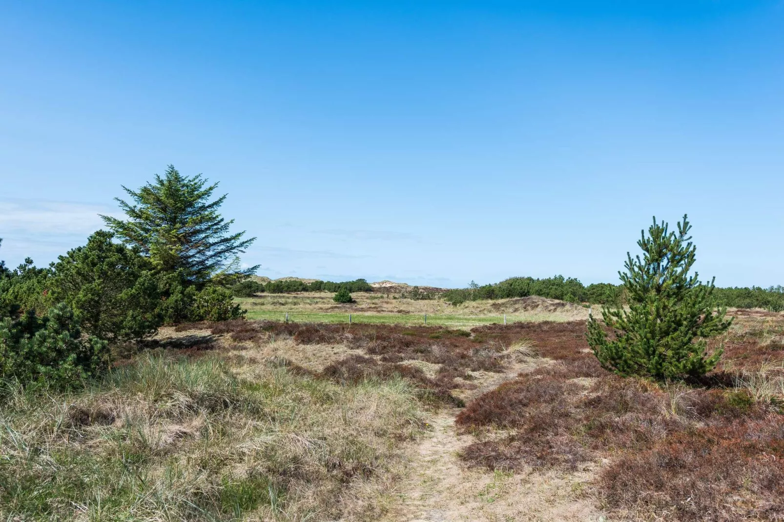 6 person holiday home in Blåvand-Untagged