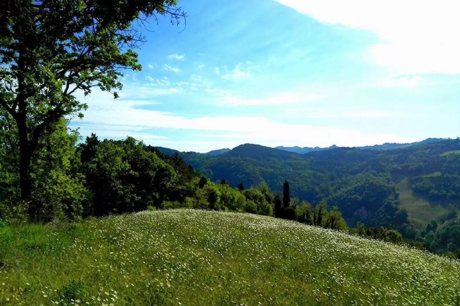 Borgata Porpora Due - Areas within 1km in summer