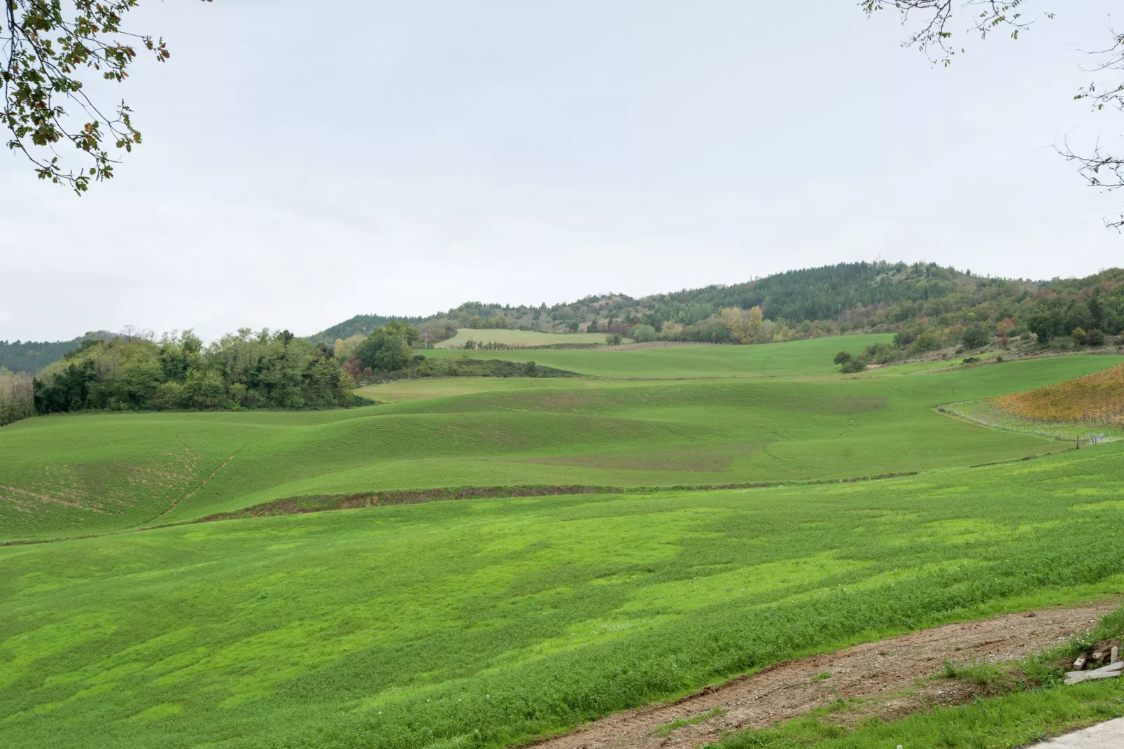 Borgata Porpora Due