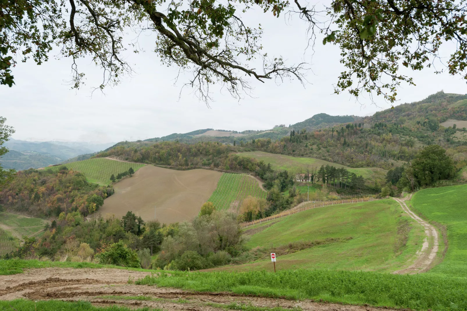 Borgata Porpora Due - Areas within 5km in summer