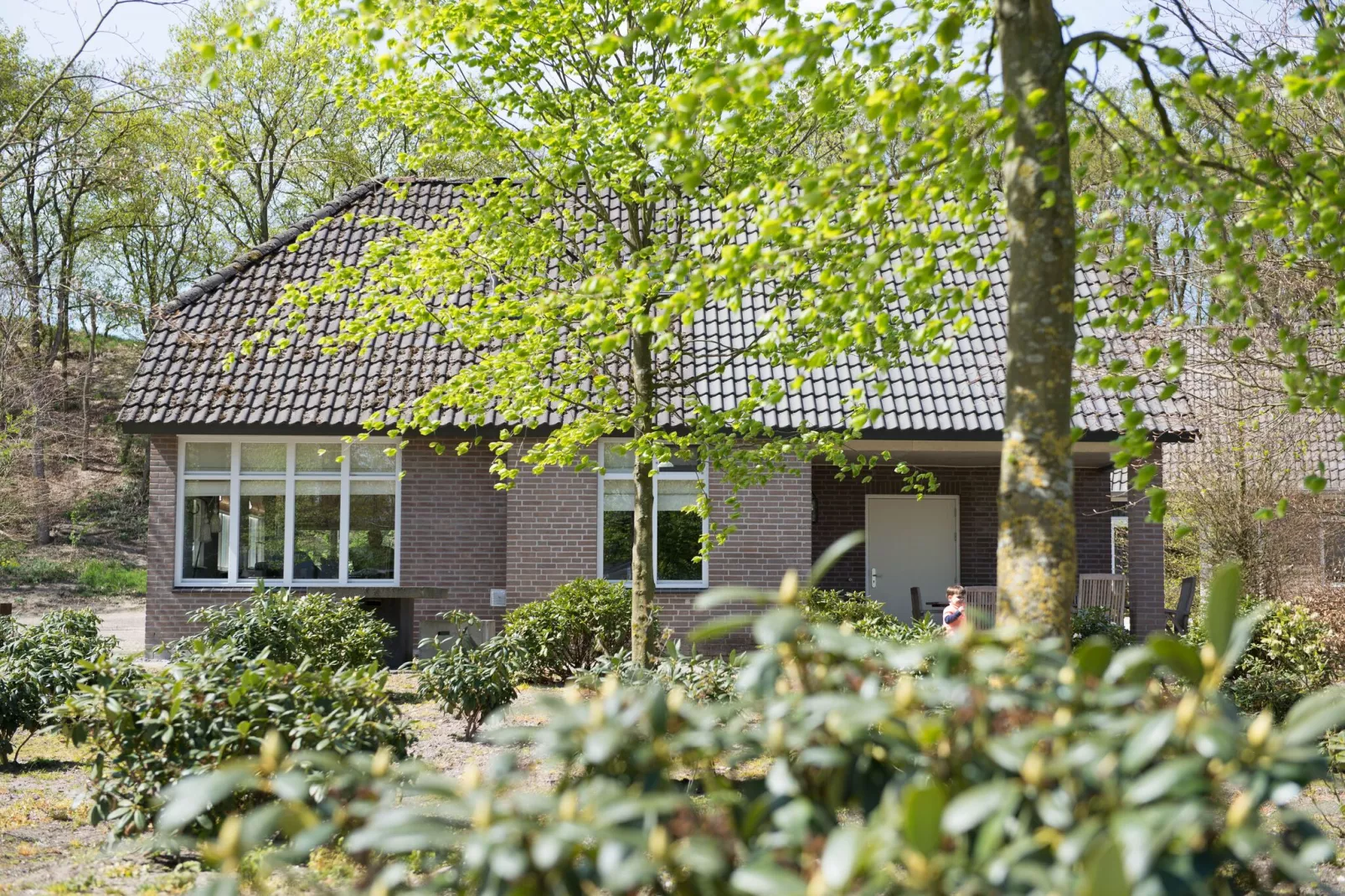 Vakantiepark Sandberghe 2-Exterior summer