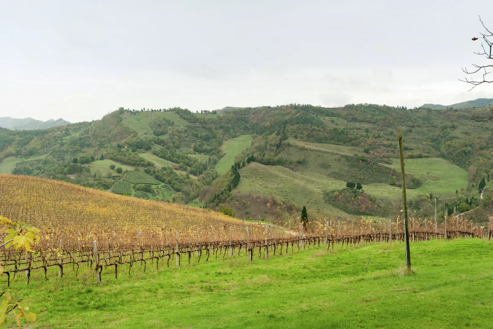 Borgata Porpora Due - Areas within 5km in summer