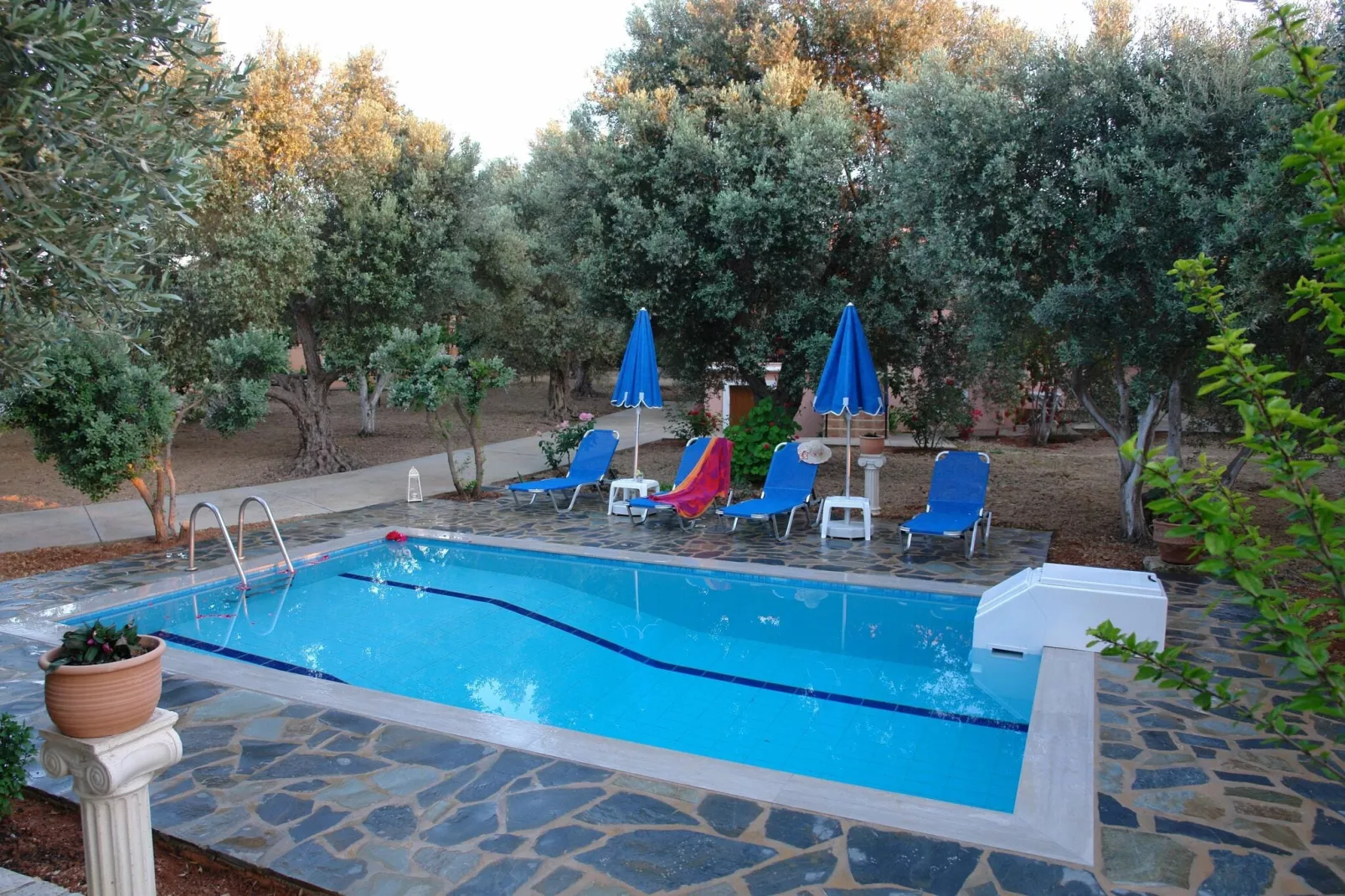 Villa Athina-Pool