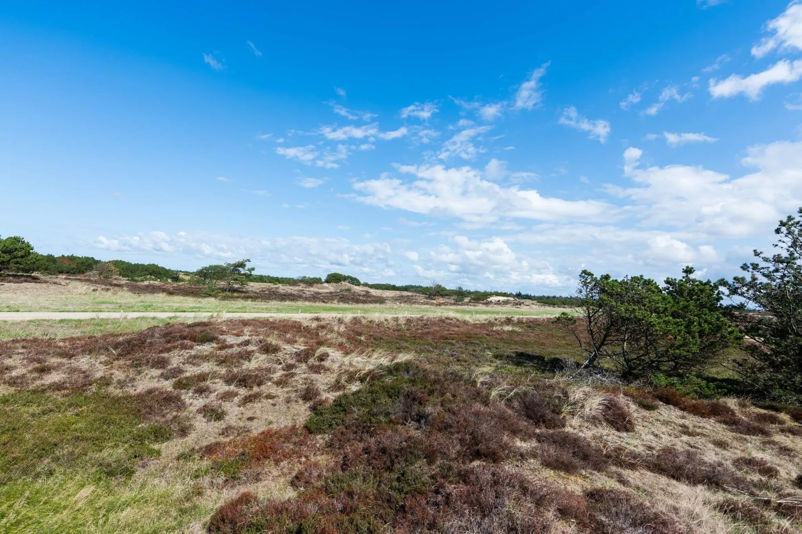 6 person holiday home in Blåvand-View