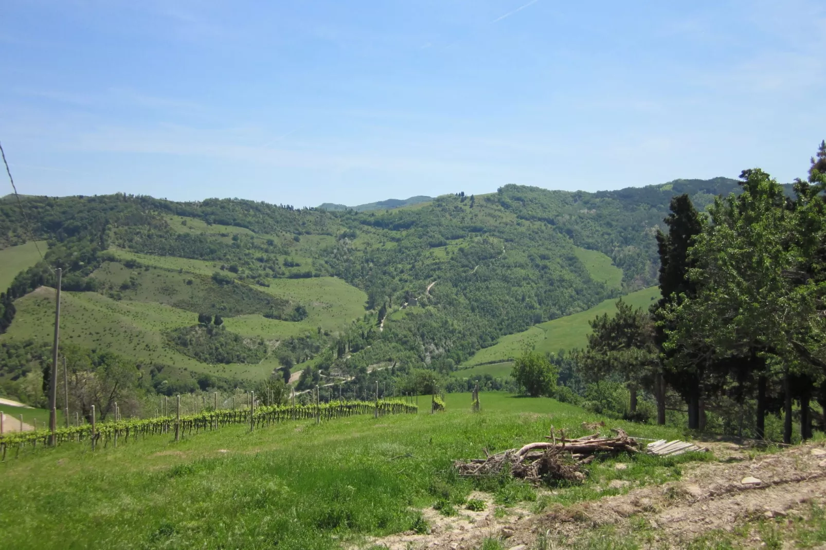 Borgata Porpora Due - View in summer