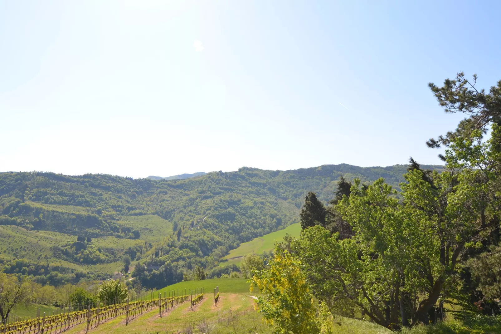 Borgata Porpora Due - View in summer