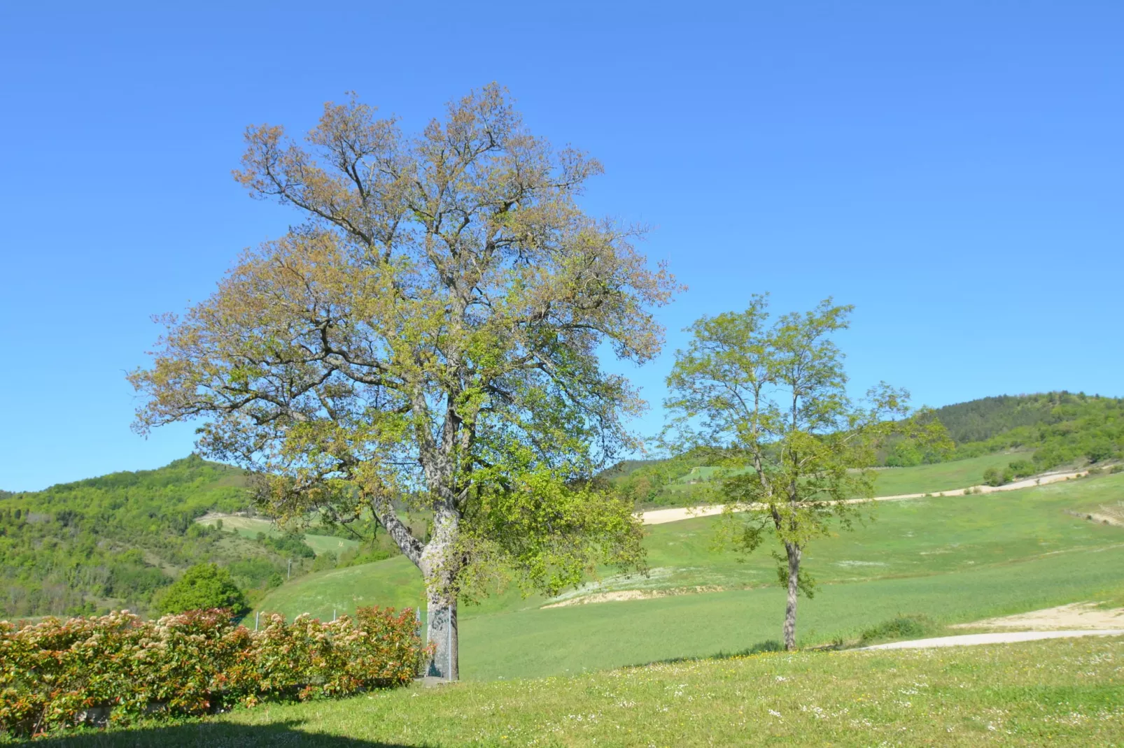 Borgata Porpora Due - View in summer
