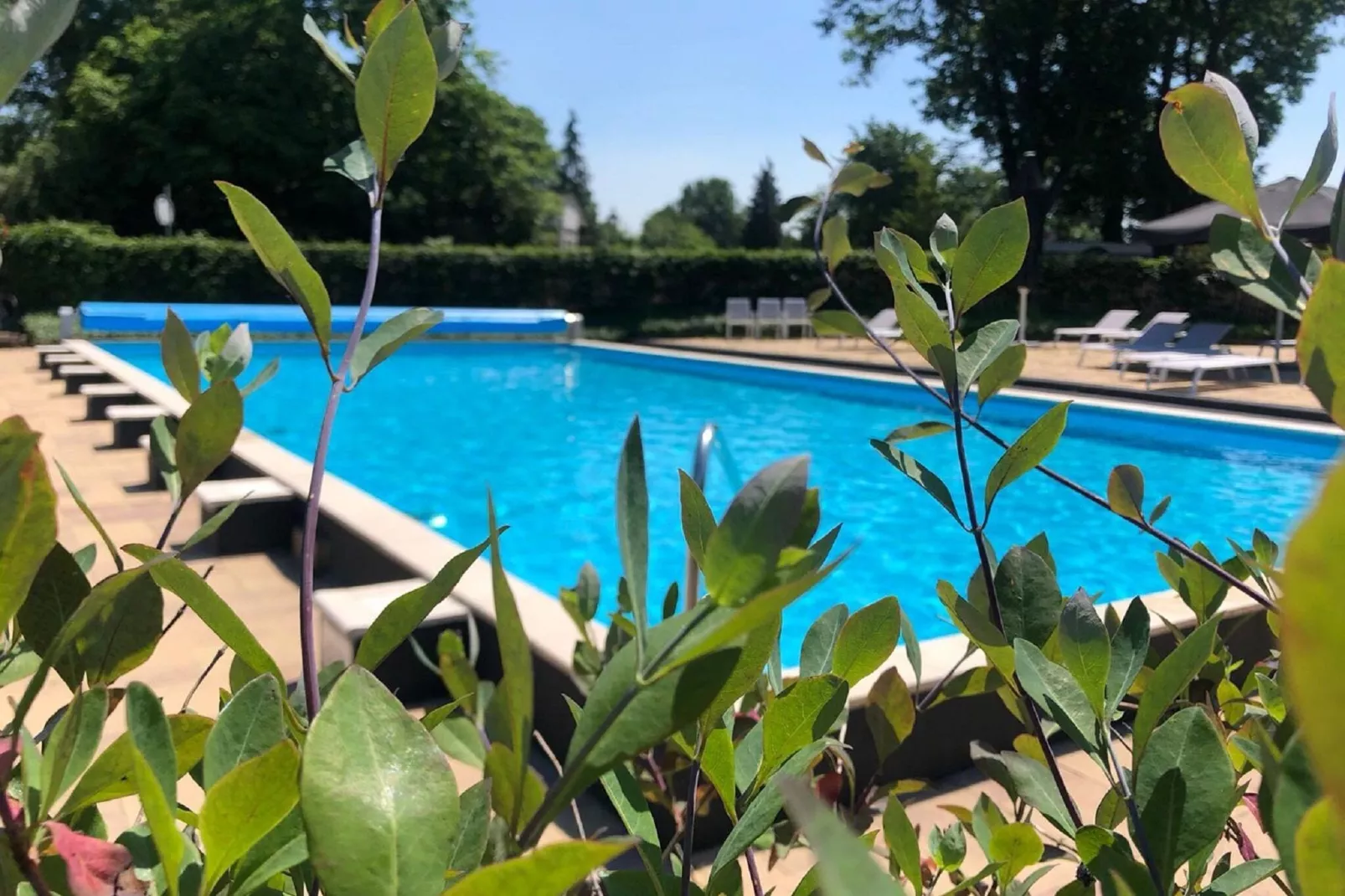 Vakantiepark Sandberghe 3-Park facilities