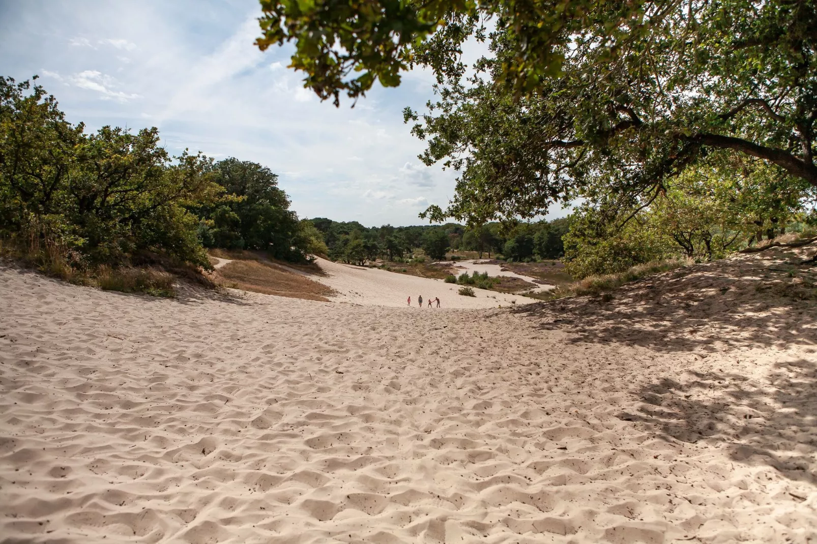 Vakantiepark Sandberghe 3-Areas summer 1km