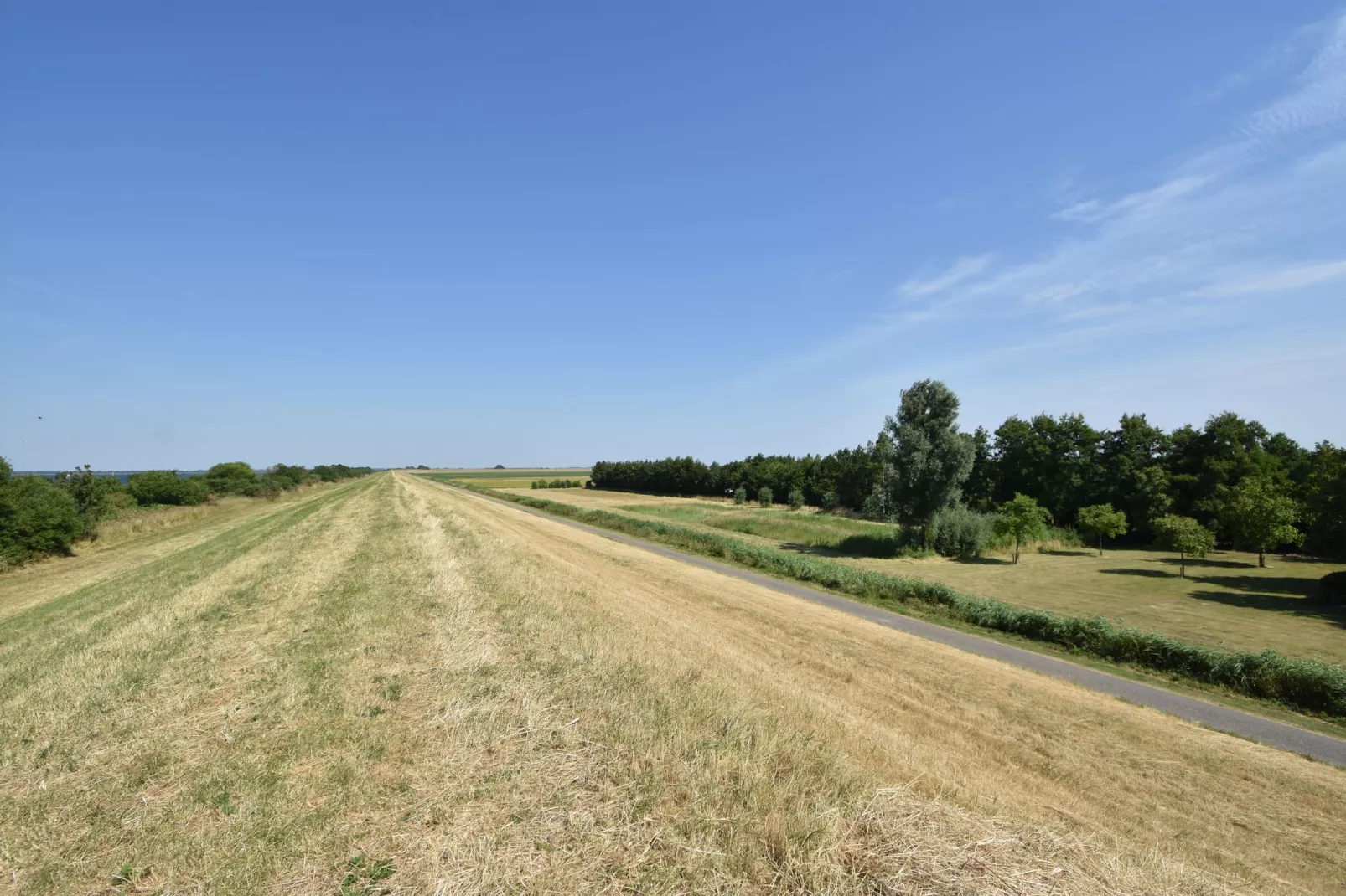 De Notenweide-Areas summer 1km