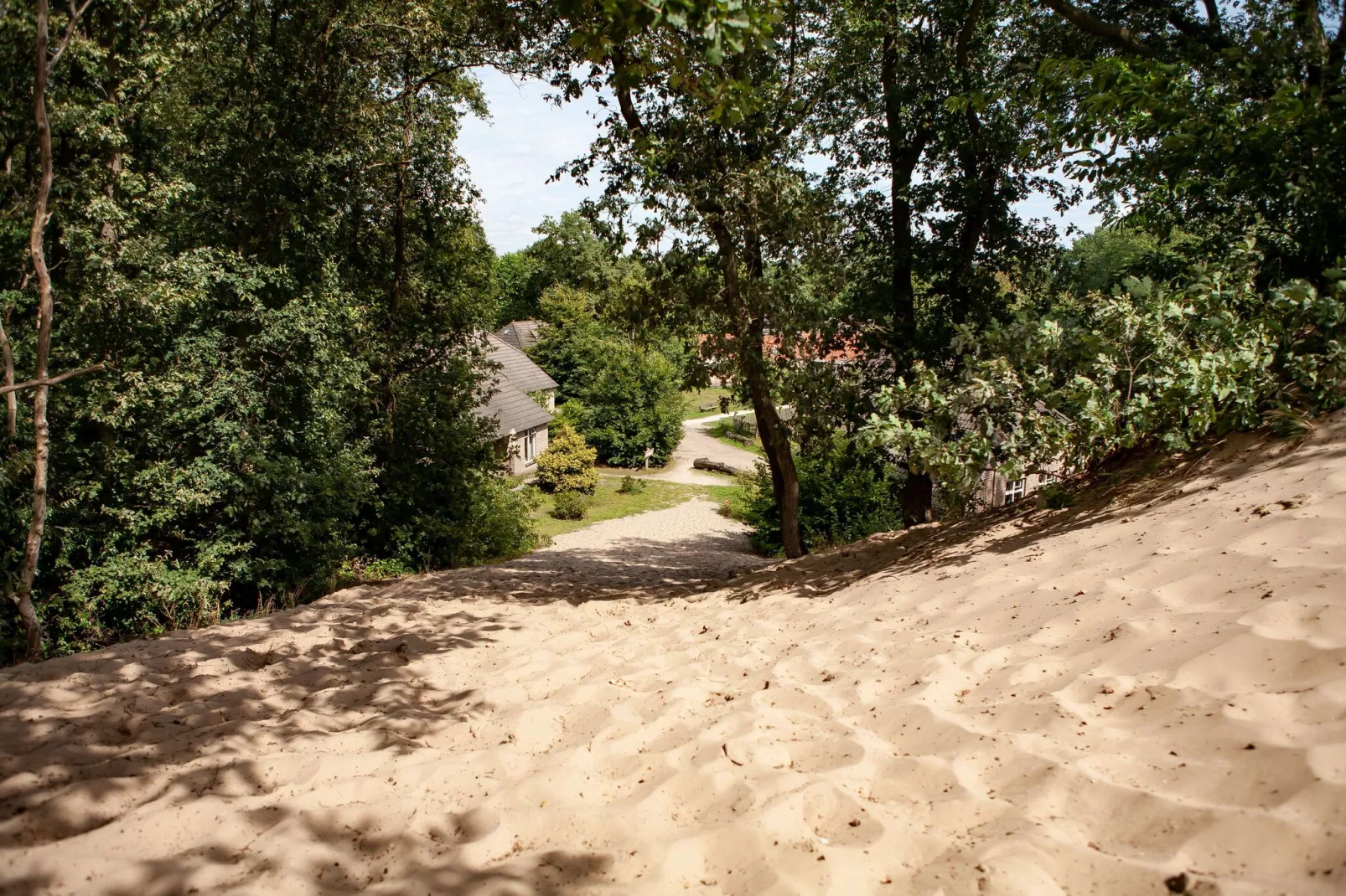Vakantiepark Sandberghe 3-Areas summer 1km