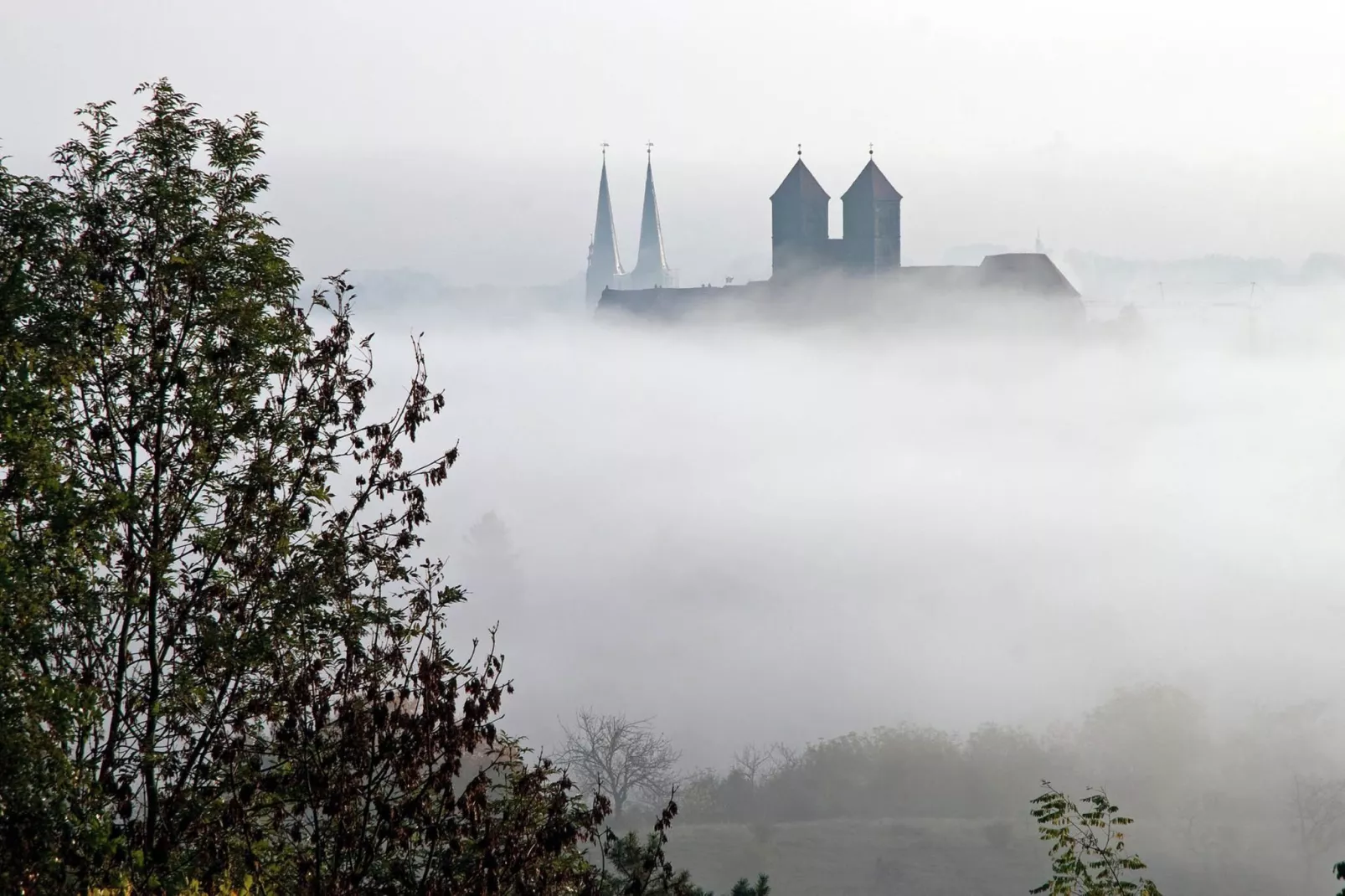 Bodeblick-Gebiet Winter 20 km