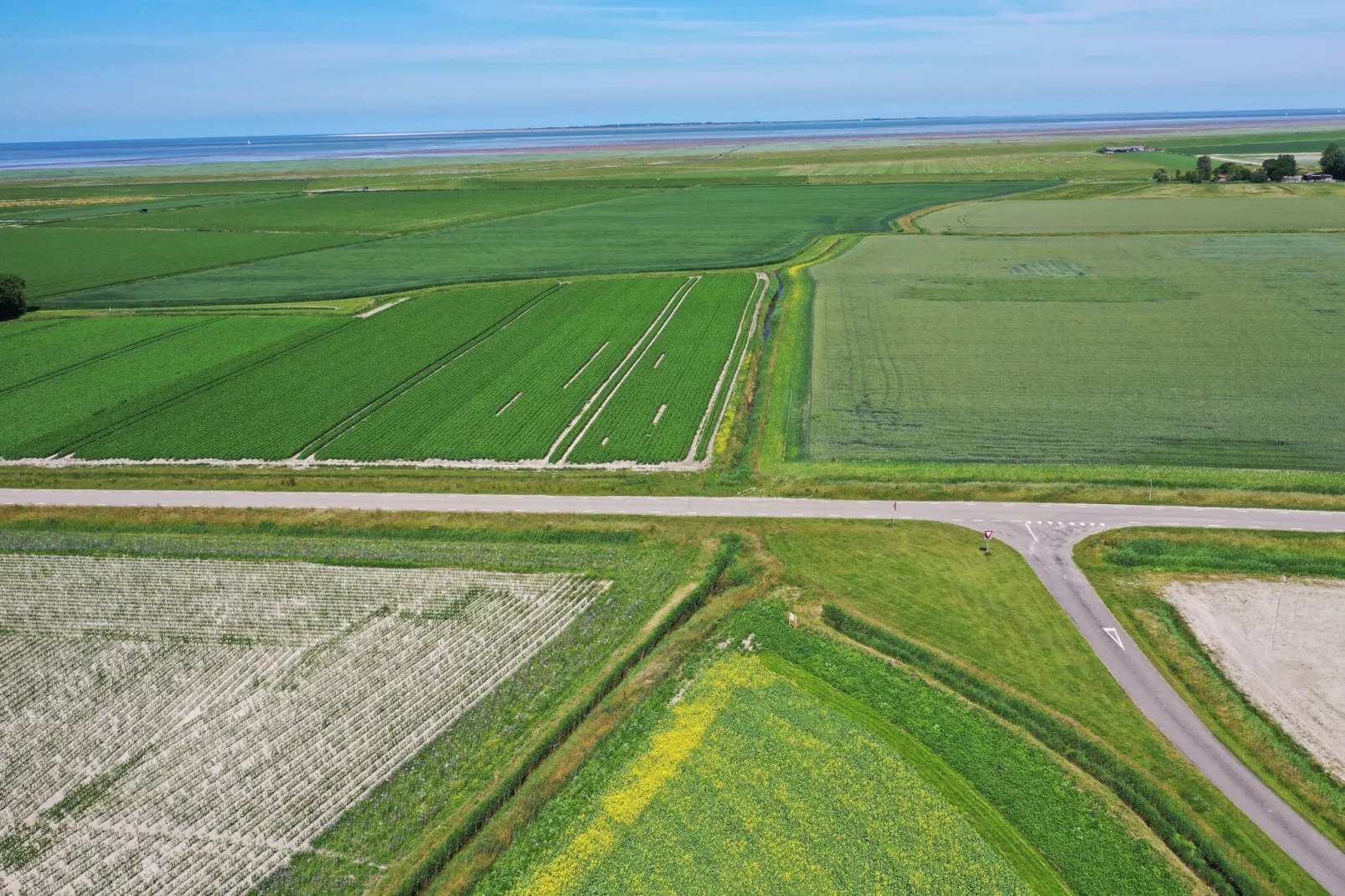 Wol Thus-Areas summer 1km