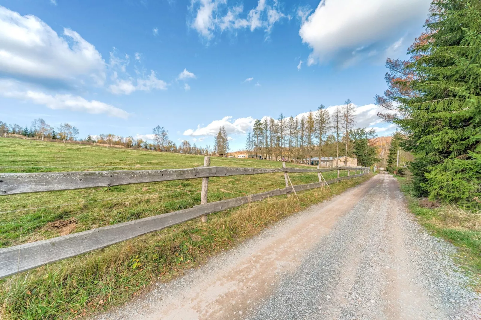 Holiday home with terrace next to the forest-Areas summer 1km