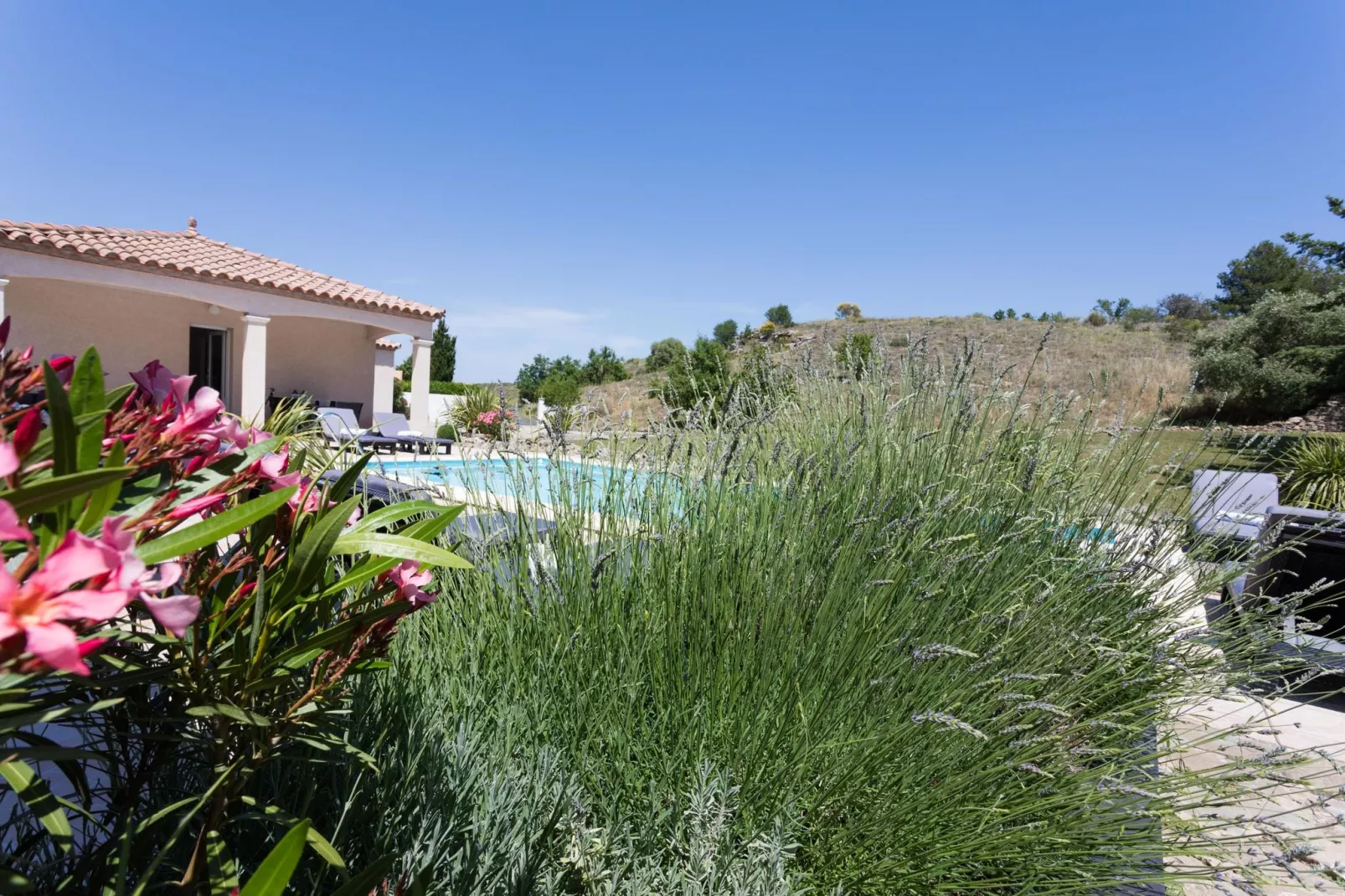 Villa Le Vigne du Paradis-Gardens summer