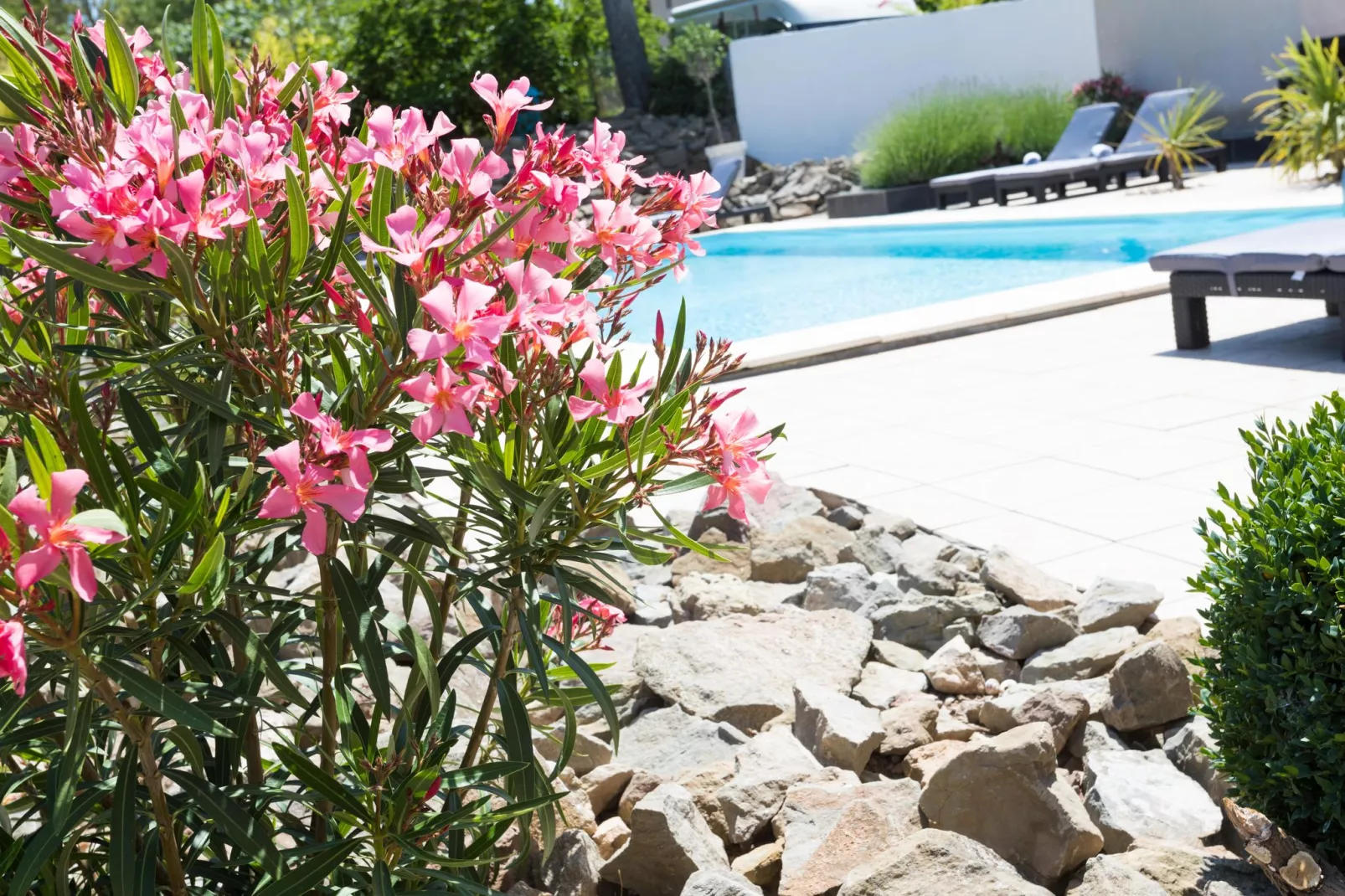 Villa Le Vigne du Paradis-Atmosphere