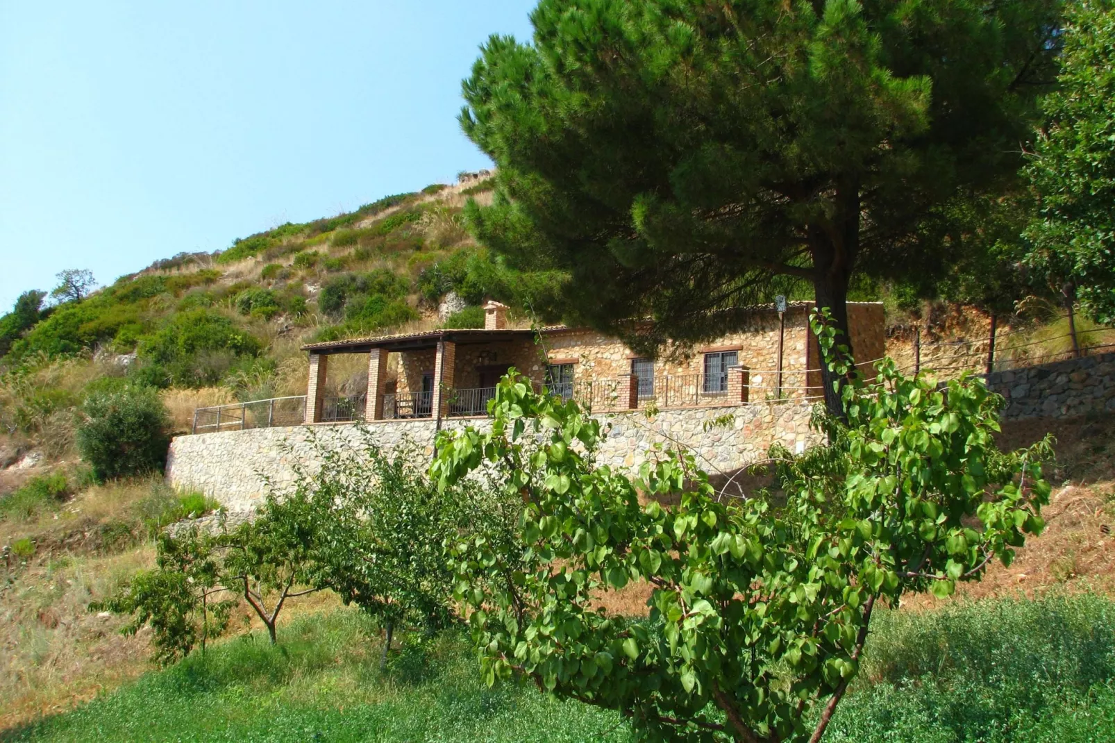 Tuono