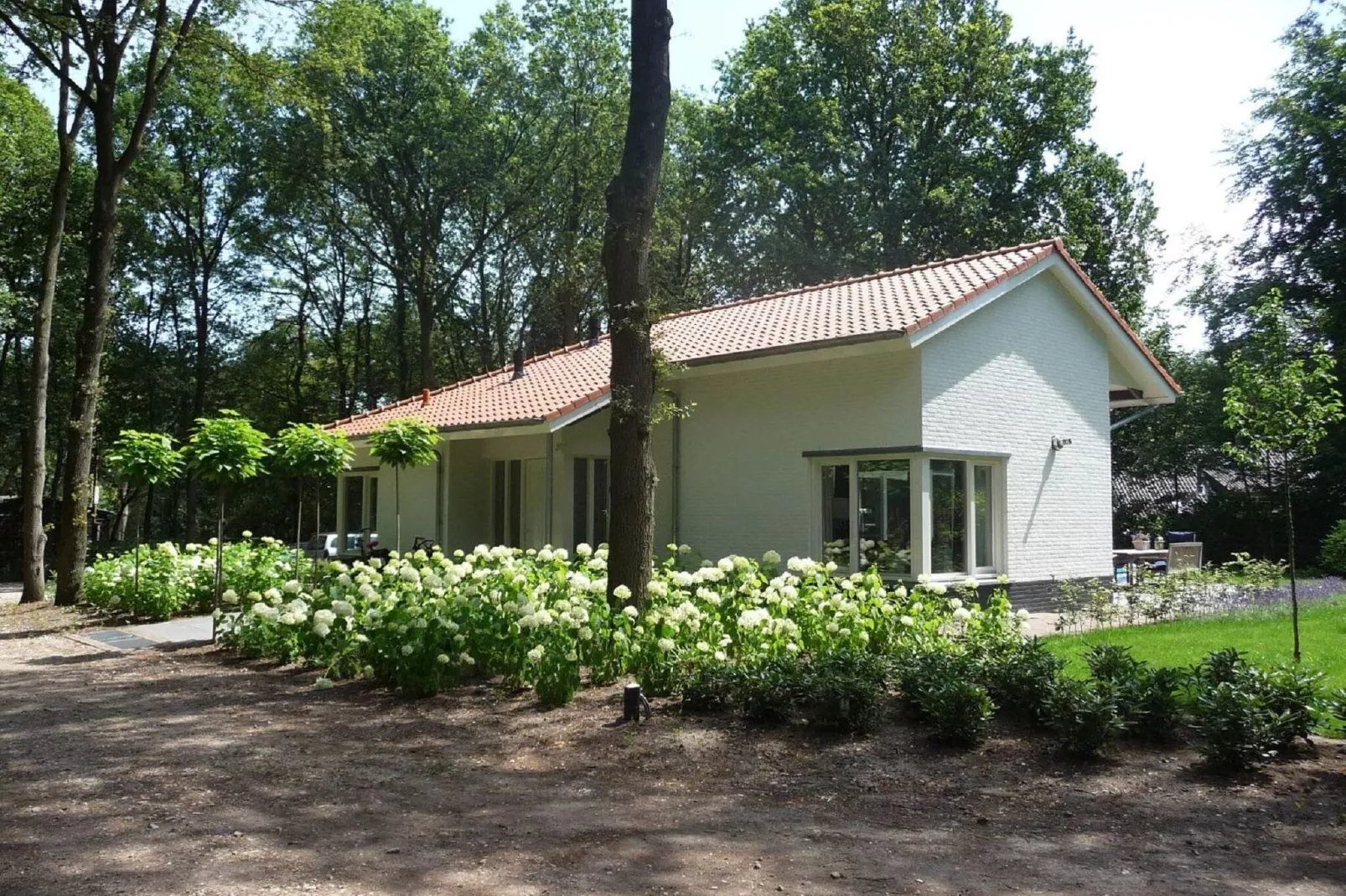 Vakantiepark Sandberghe 7-Exterior summer