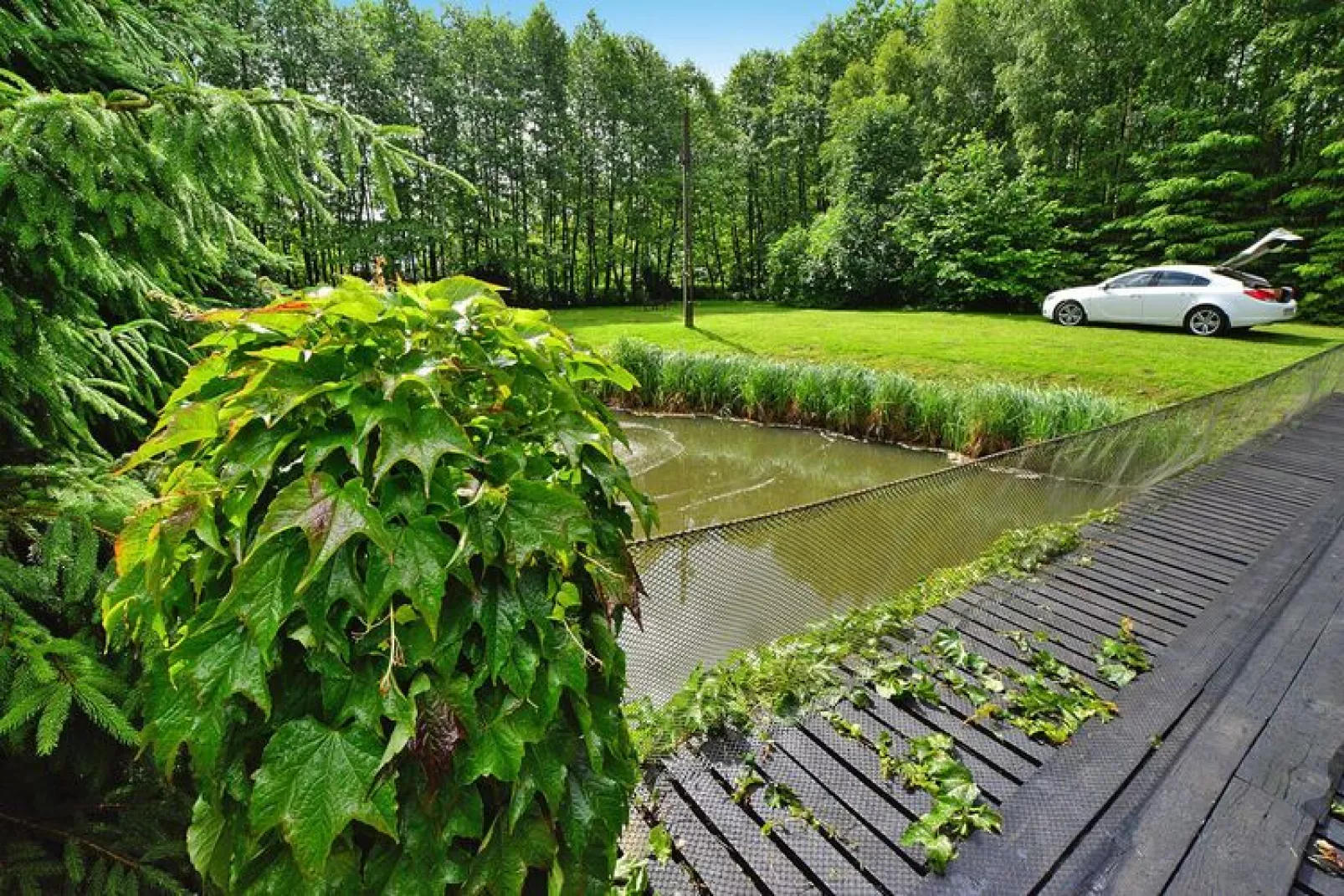 Dom na wyspie Nieżyn-Gardens summer