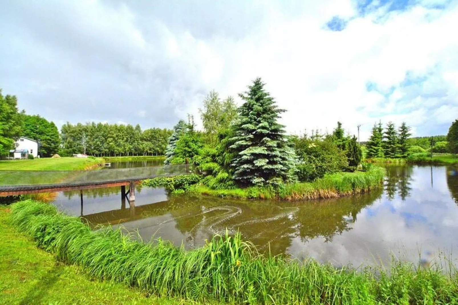 Dom na wyspie Nieżyn-Gardens summer
