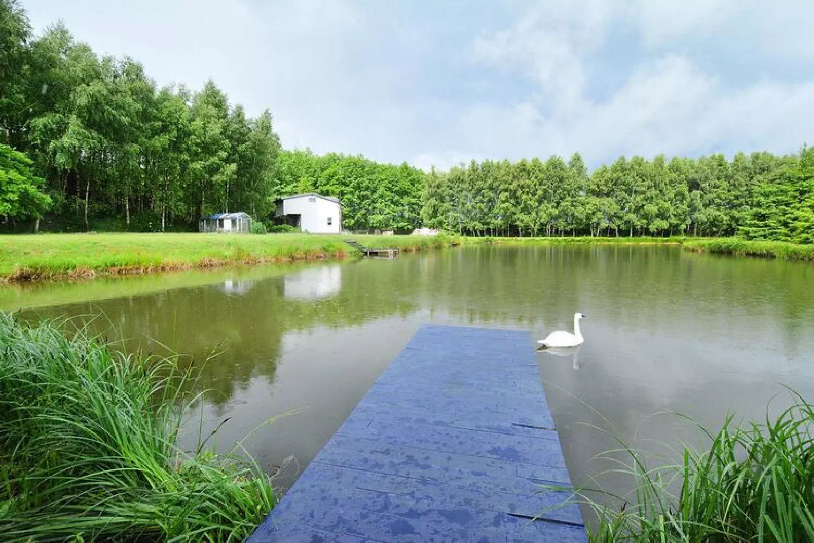 Dom na wyspie Nieżyn-Water view
