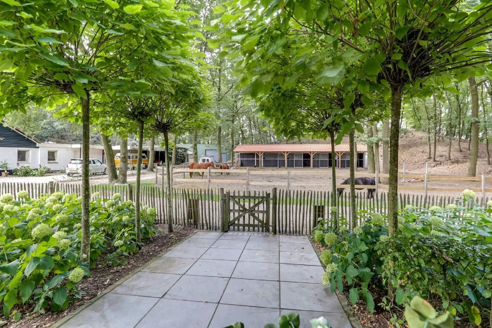 Vakantiepark Sandberghe 7-Terrace balcony