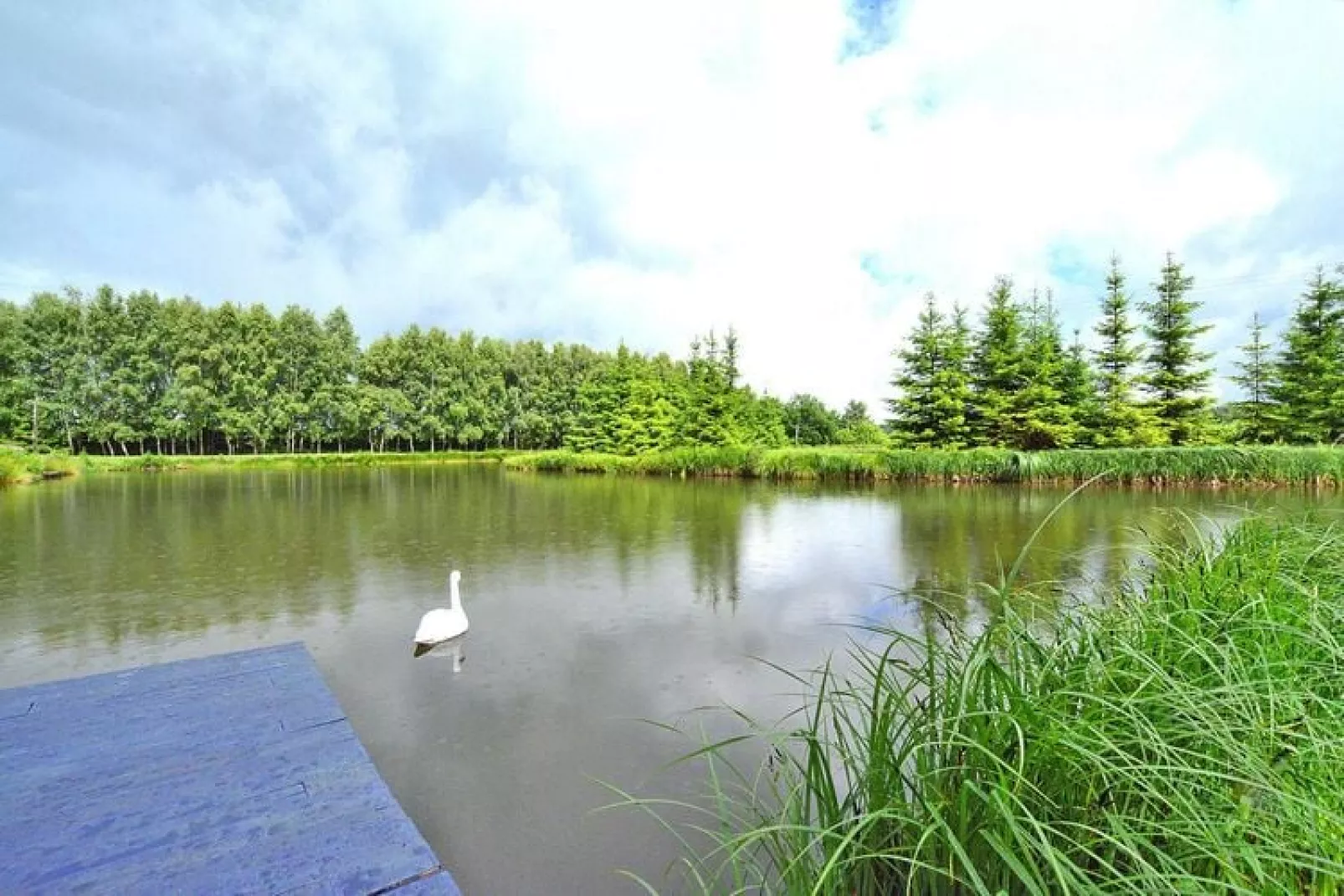Dom na wyspie Nieżyn-Water view
