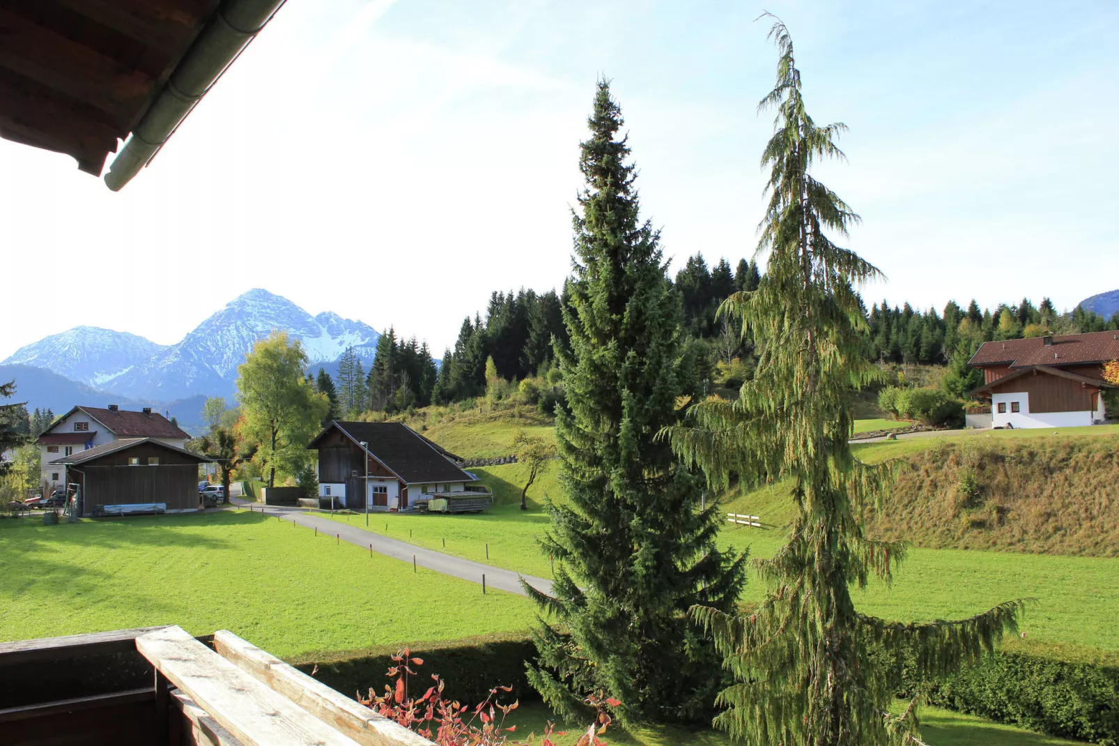 Haus Schweiger-Aussicht Sommer