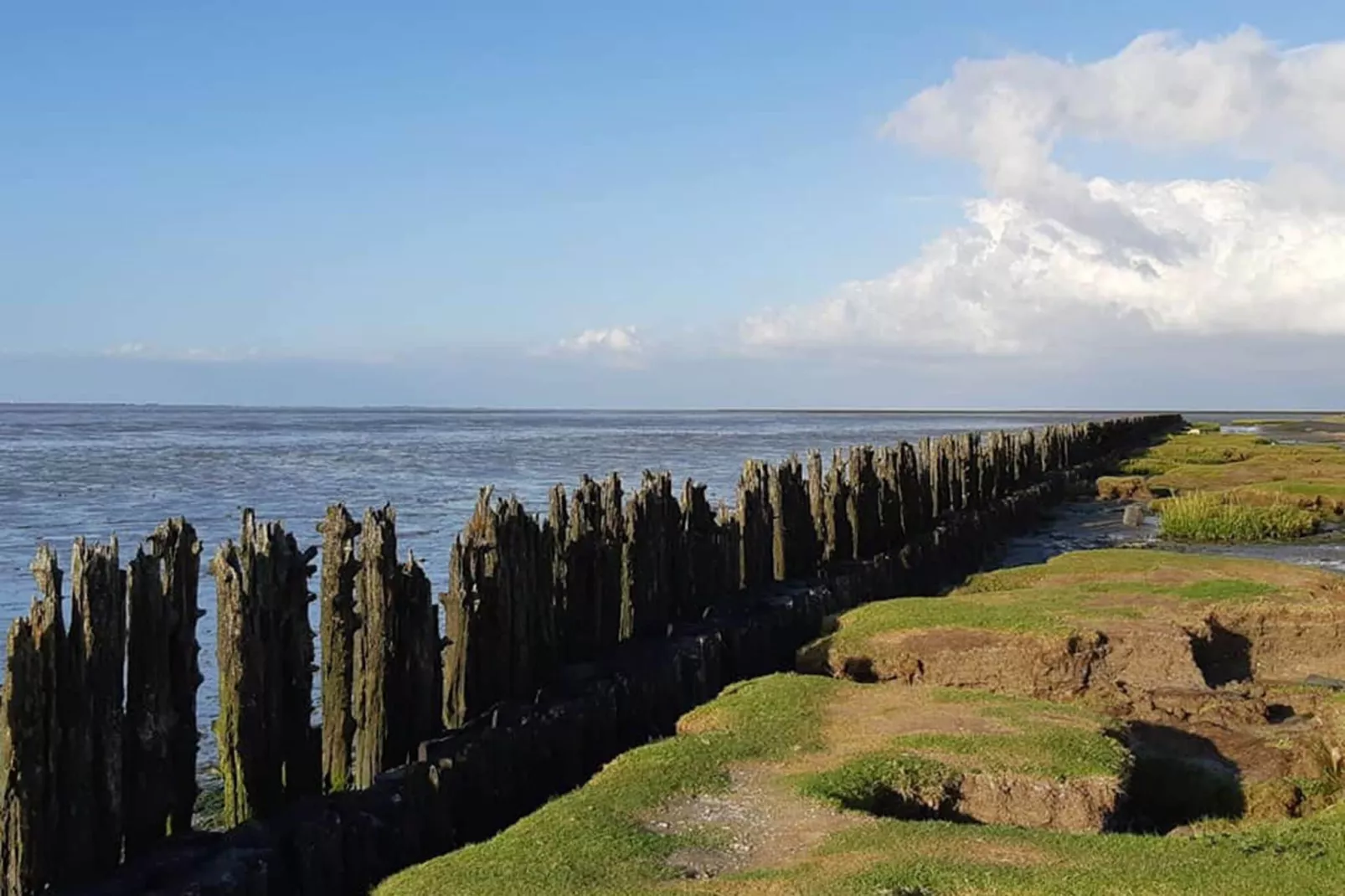 Waddenhuisjes Paesens-Zones d'été à 1 km